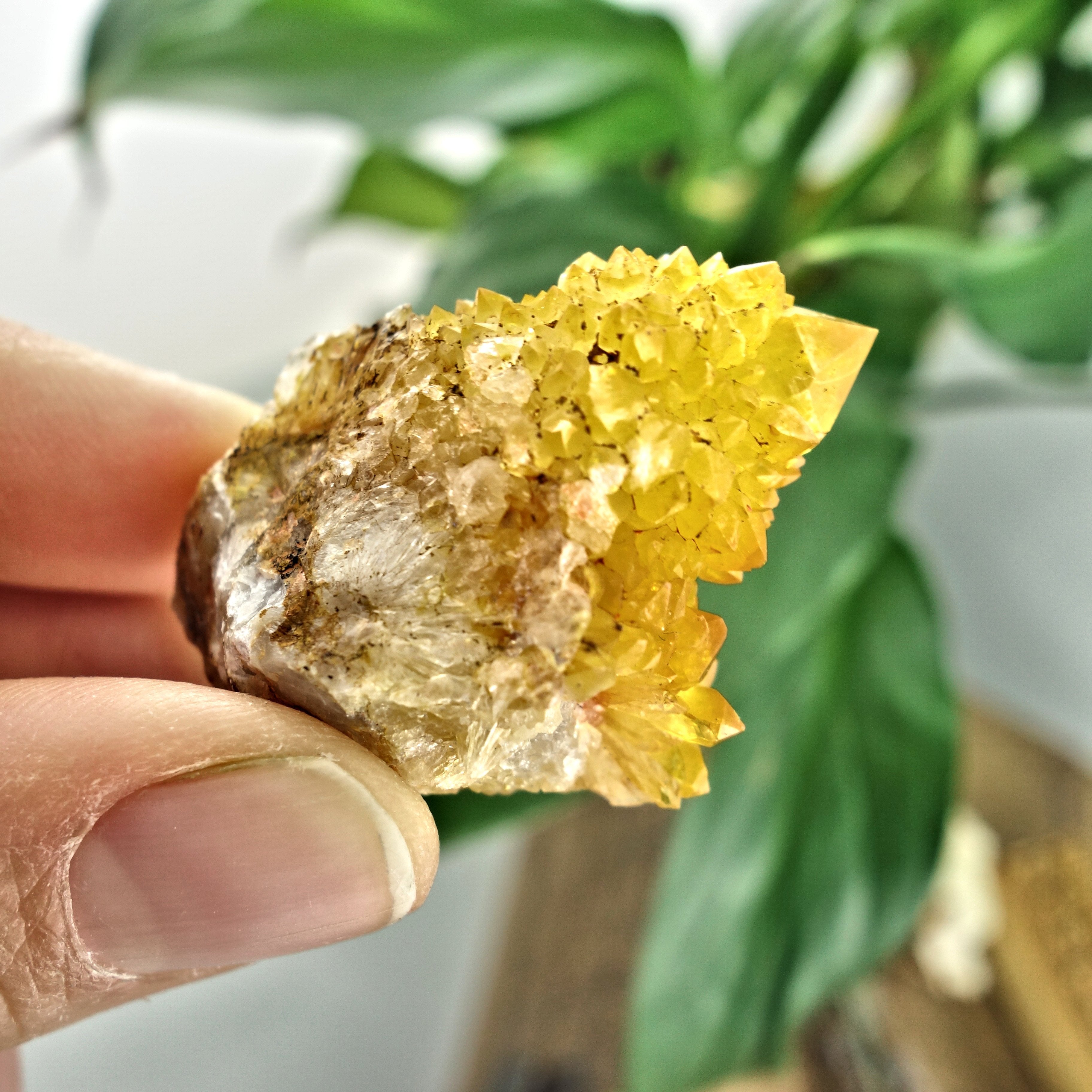 Sparkling Natural Golden Citrine Spirit Quartz Point From South Africa4