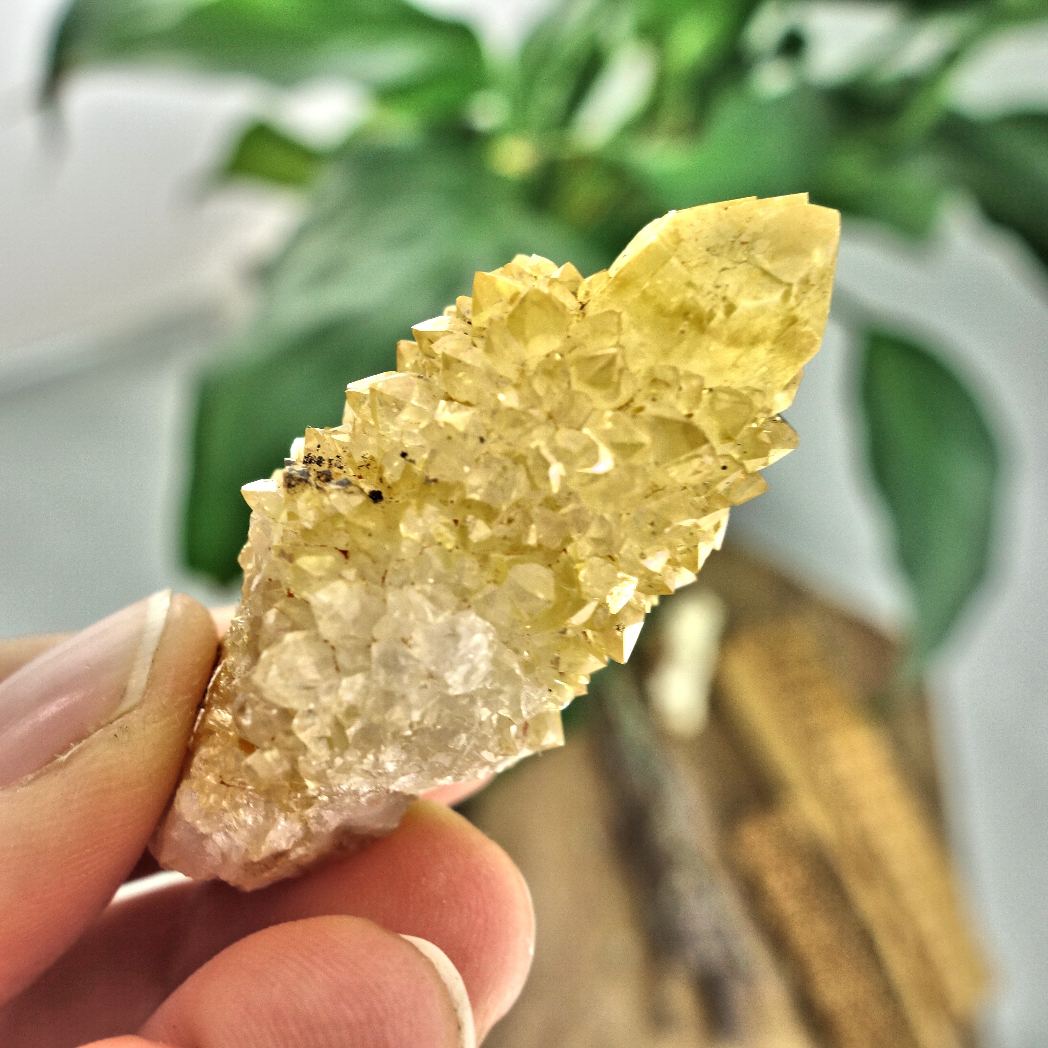 Sparkling Natural Golden Citrine Spirit Quartz Point From South Africa3