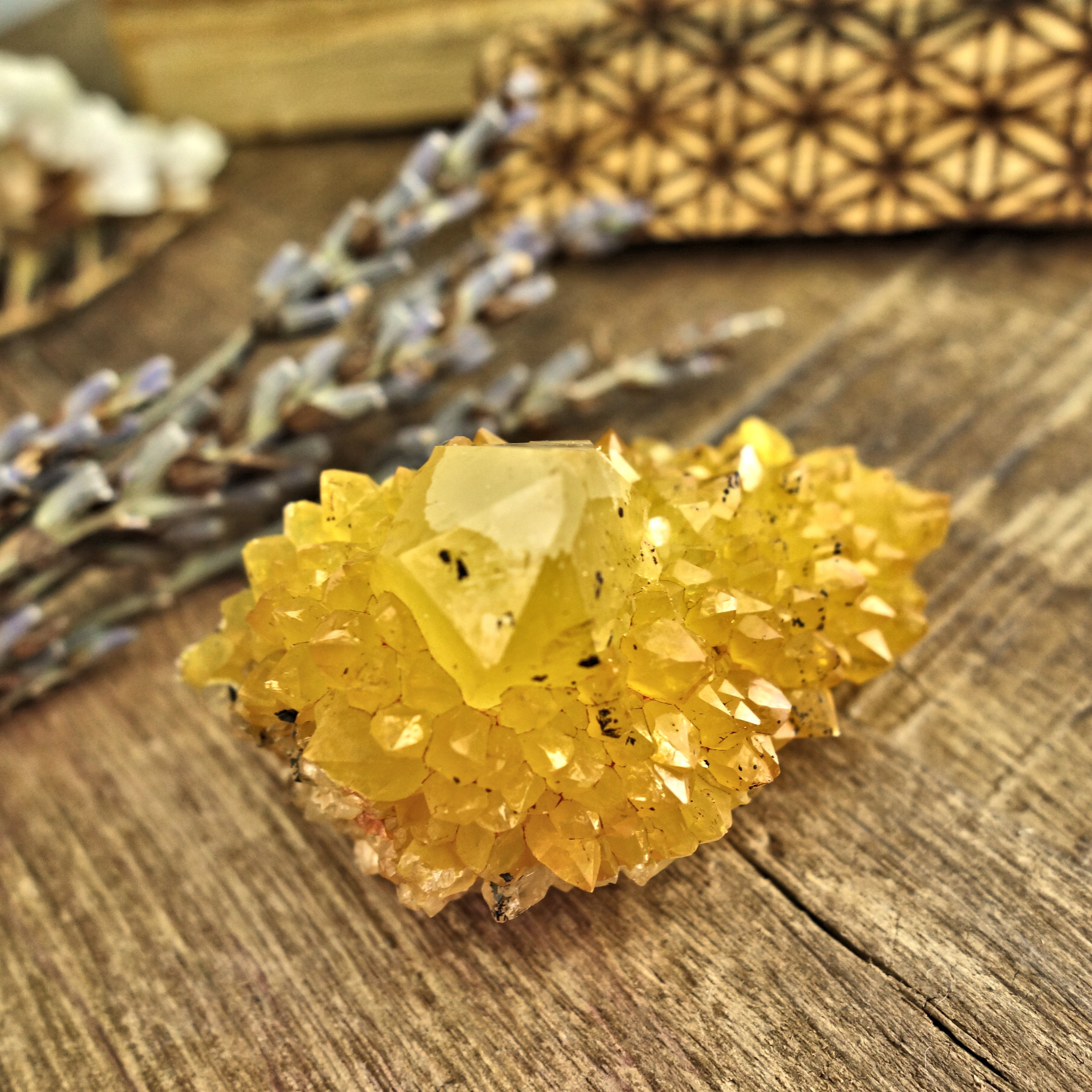 Sparkling Natural Golden Citrine Spirit Quartz Cluster From South Africa1