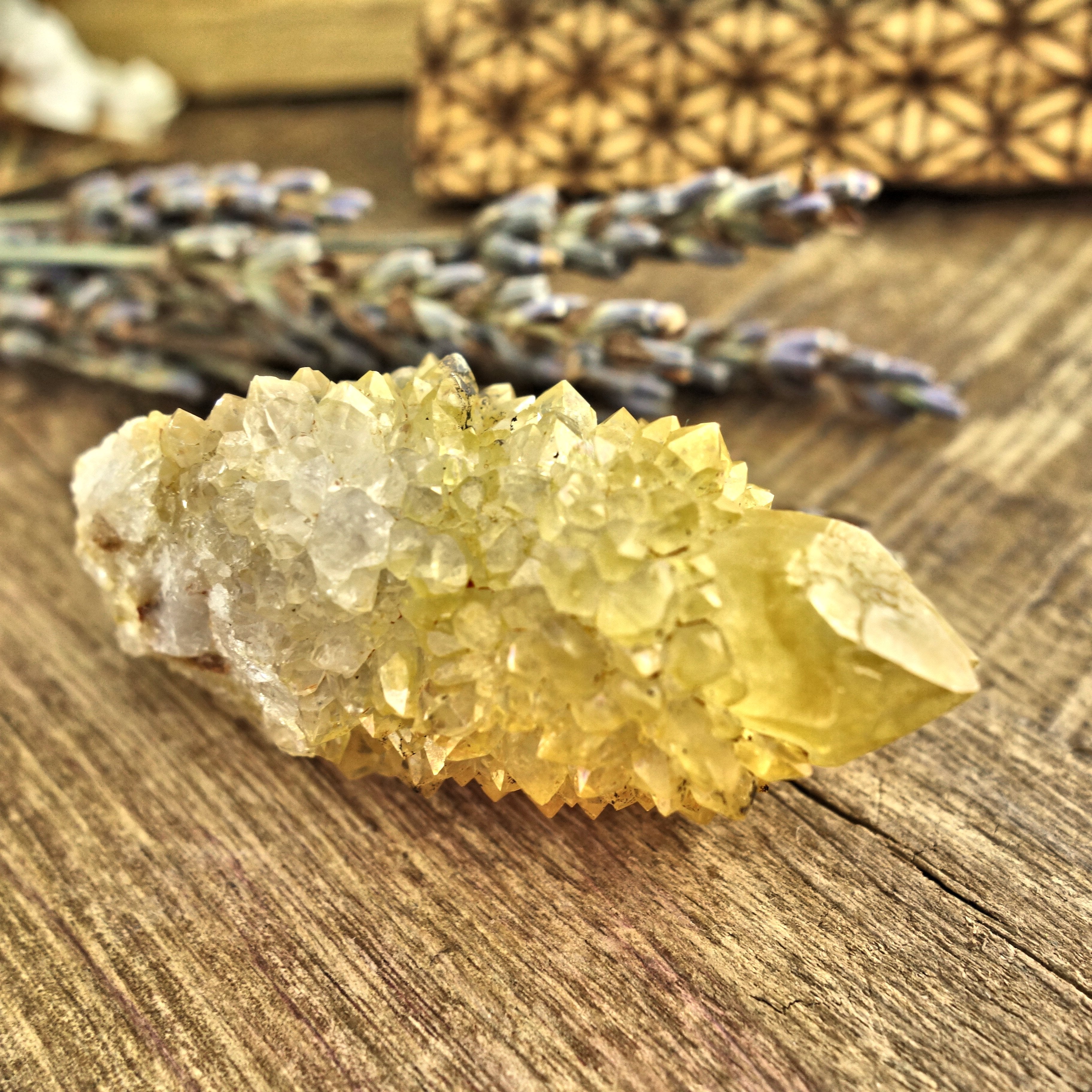 Sparkling Natural Golden Citrine Spirit Quartz Point From South Africa3