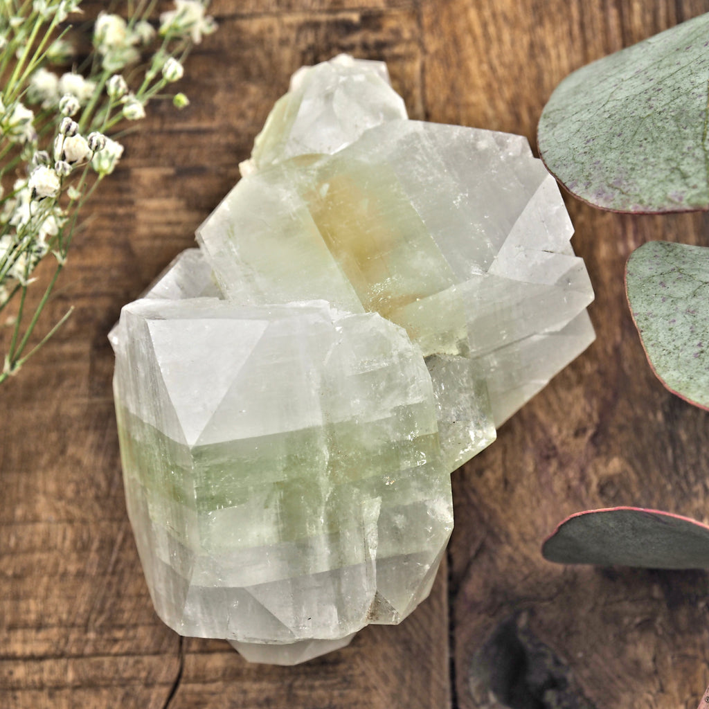 Gemmy Green & Clear Apophyllite Specimen From India #1 - Earth Family Crystals