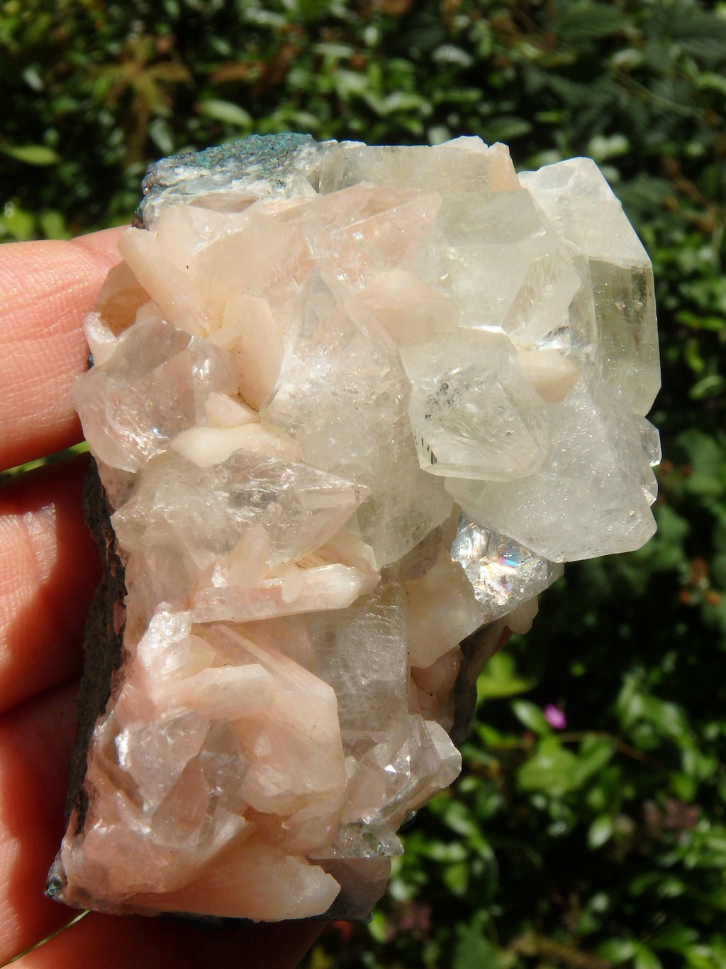 Brilliant Green & Clear Apophyllite Points Nestled With Pink Stilbite on Matrix From India - Earth Family Crystals