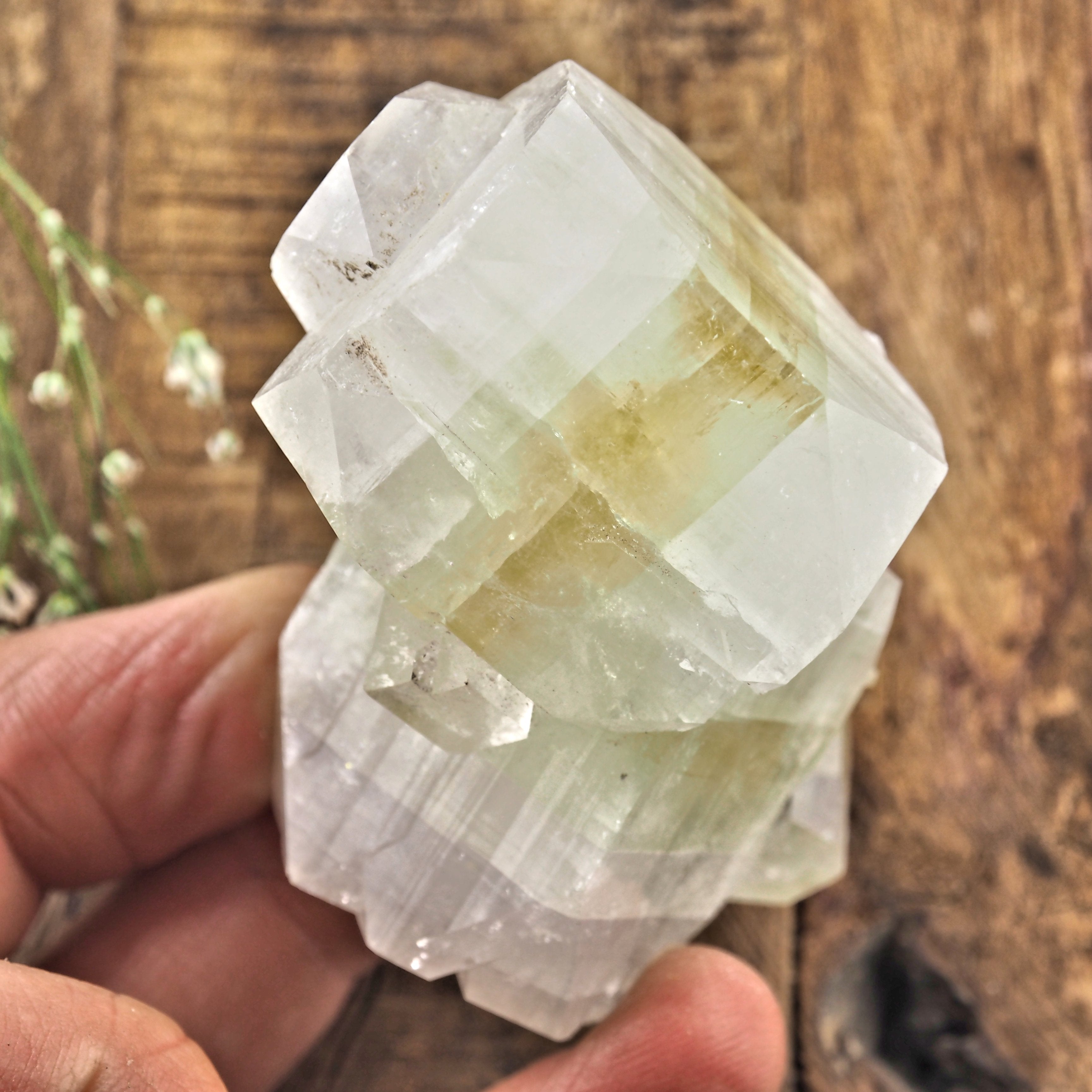Gemmy Green & Clear Apophyllite Specimen From India #1 - Earth Family Crystals