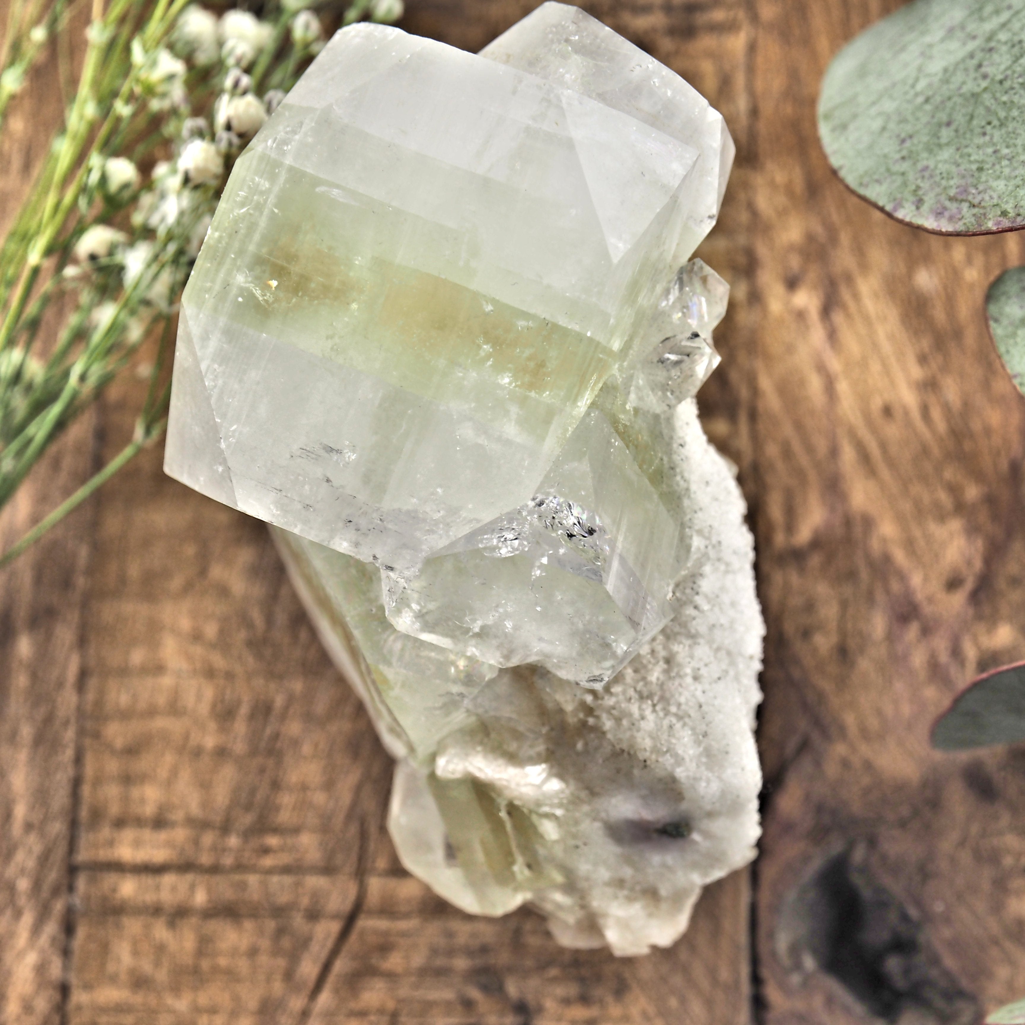 Gemmy Green & Clear Apophyllite Specimen From India #1 - Earth Family Crystals