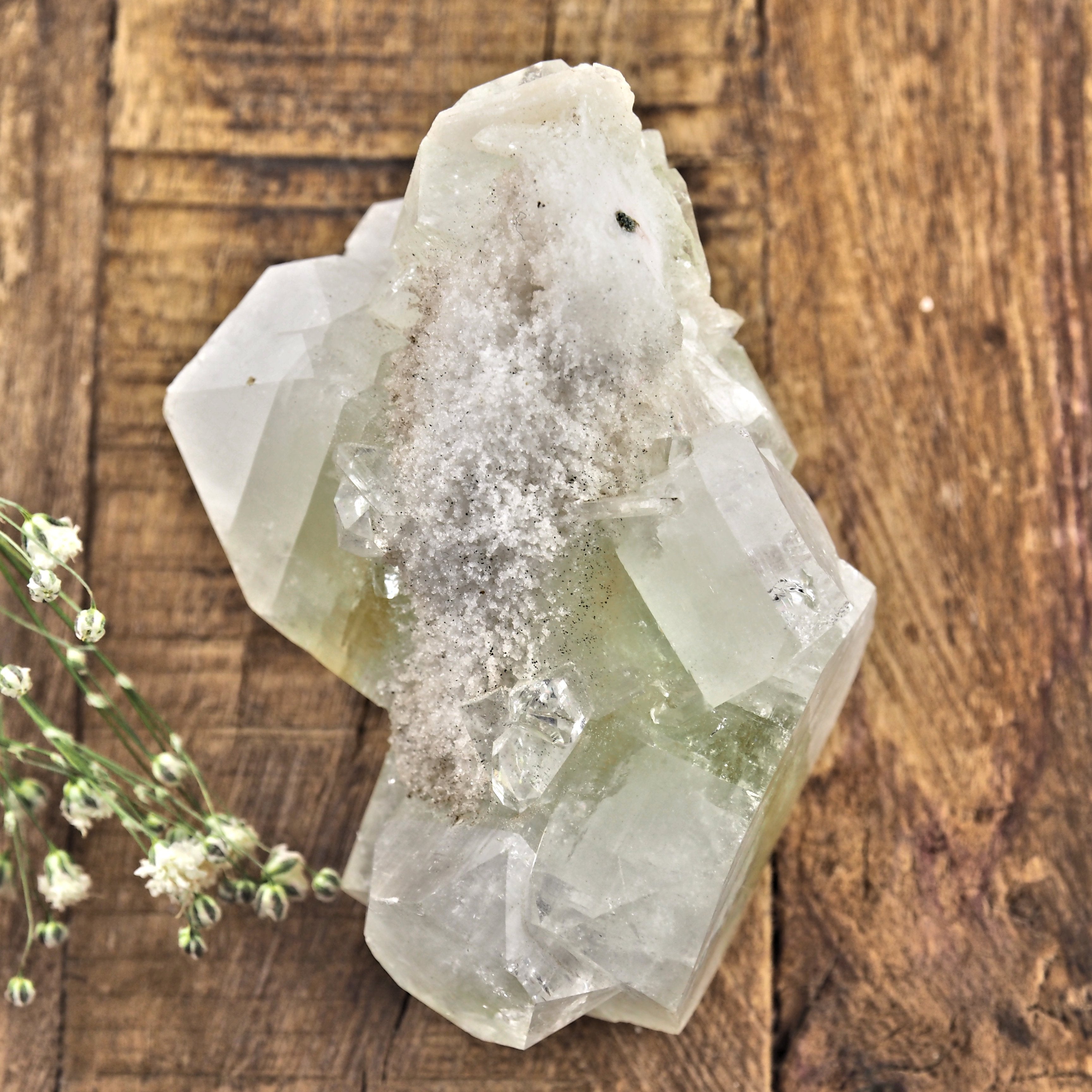 Gemmy Green & Clear Apophyllite Specimen From India #1 - Earth Family Crystals