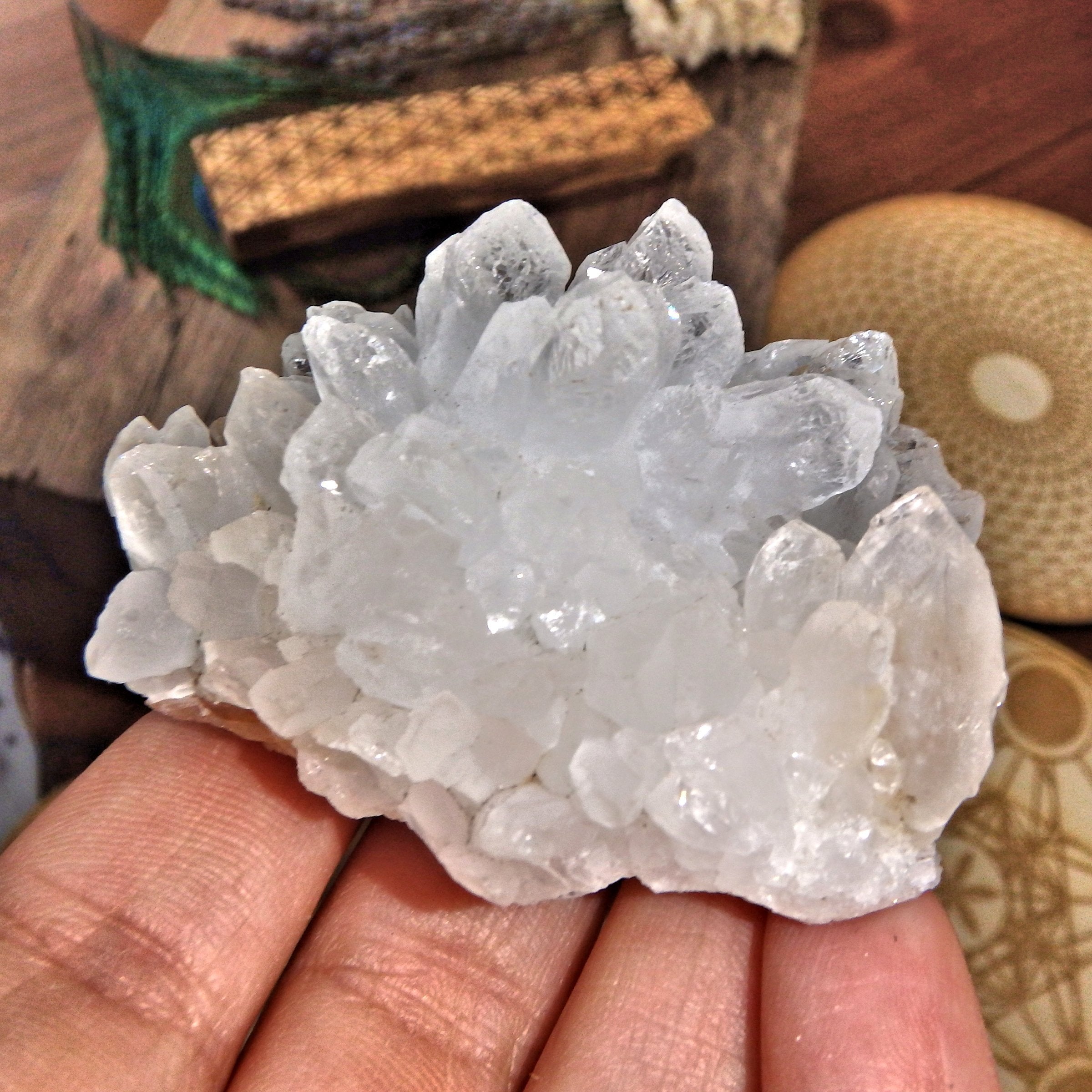 Wonderful Clear Quartz Cluster From India 8 - Earth Family Crystals