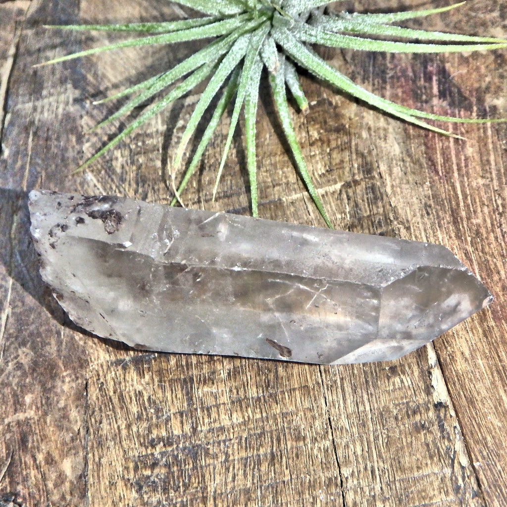 Brazilian Natural Clear Quartz Point With Inclusions - Earth Family Crystals