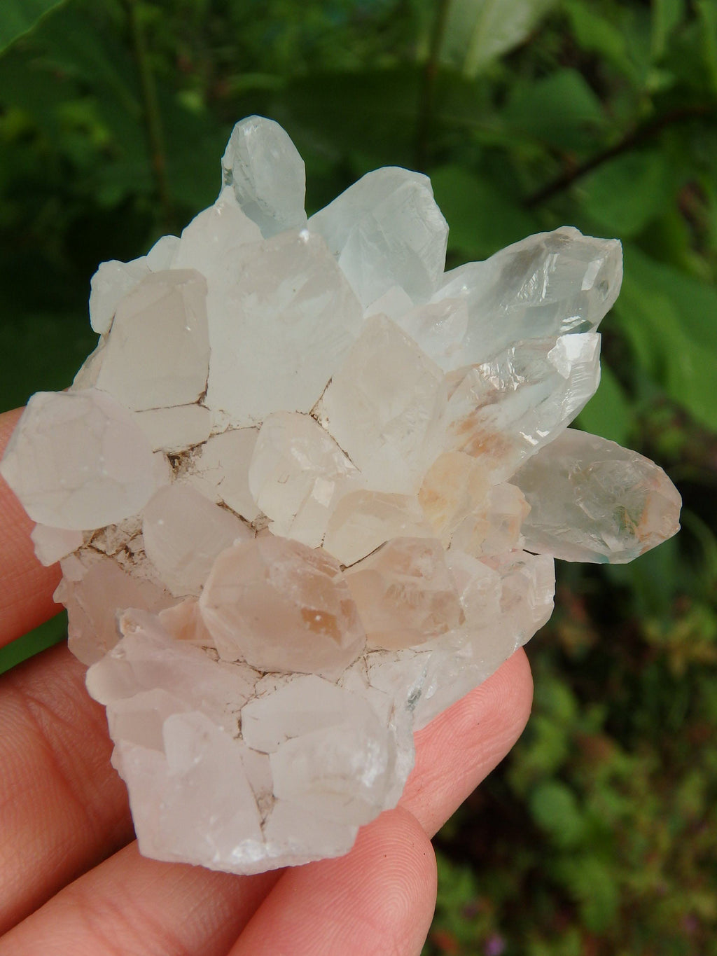Clear Quartz Cluster From India - Earth Family Crystals