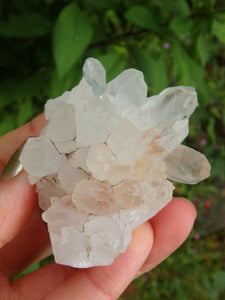 Clear Quartz Cluster From India - Earth Family Crystals