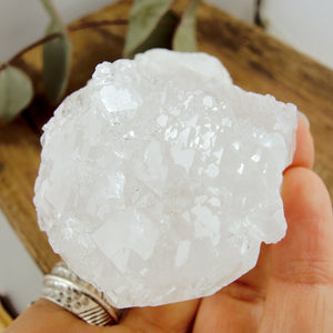 Incredible Self Healed Elestial Clear Quartz Point With Record Keepers From Brazil