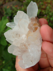 Clear Quartz Cluster From India - Earth Family Crystals