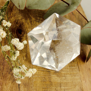 Stunning Large Faceted Diamond Cut Clear Quartz Specimen #1 - Earth Family Crystals