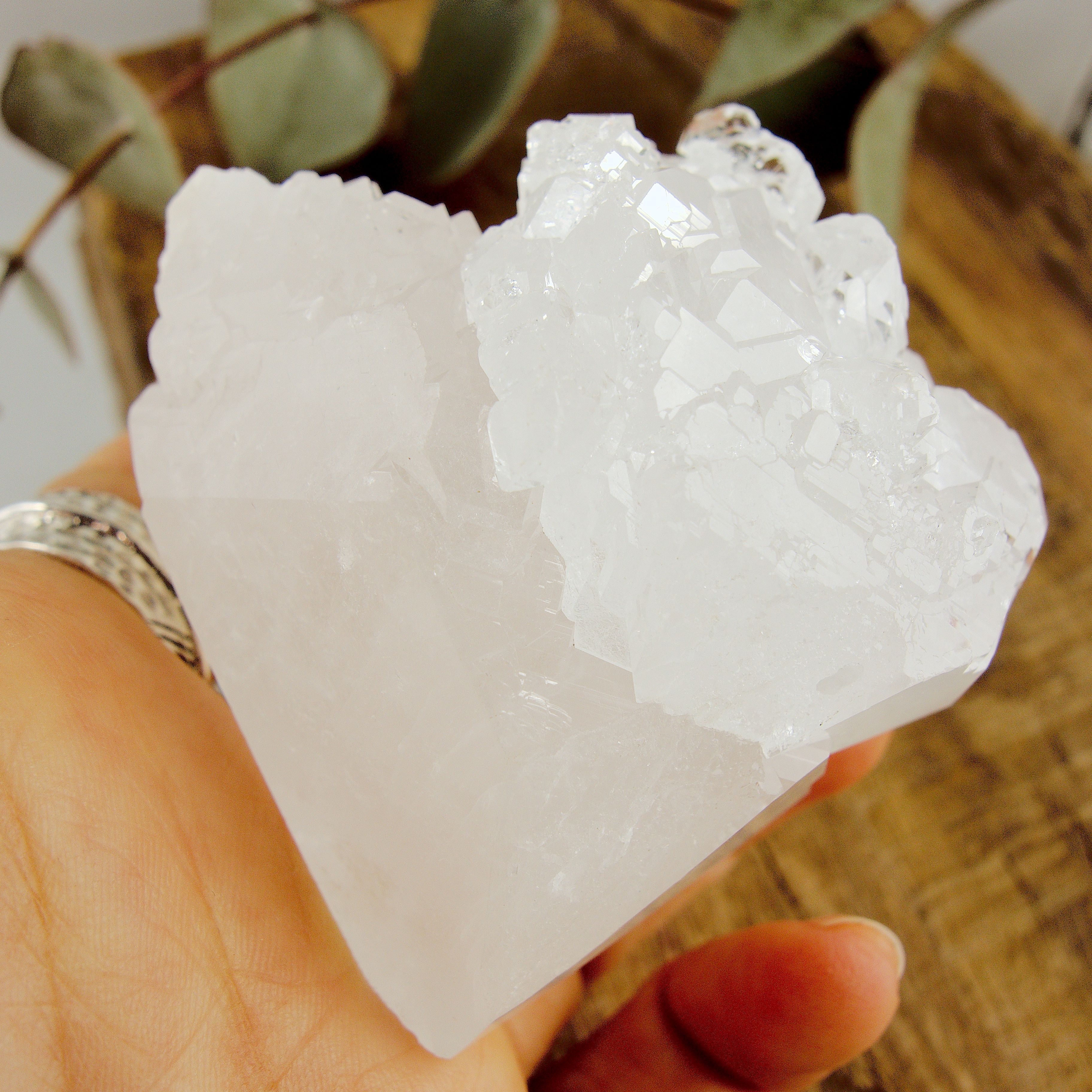 Incredible Self Healed Elestial Clear Quartz Point With Record Keepers From Brazil