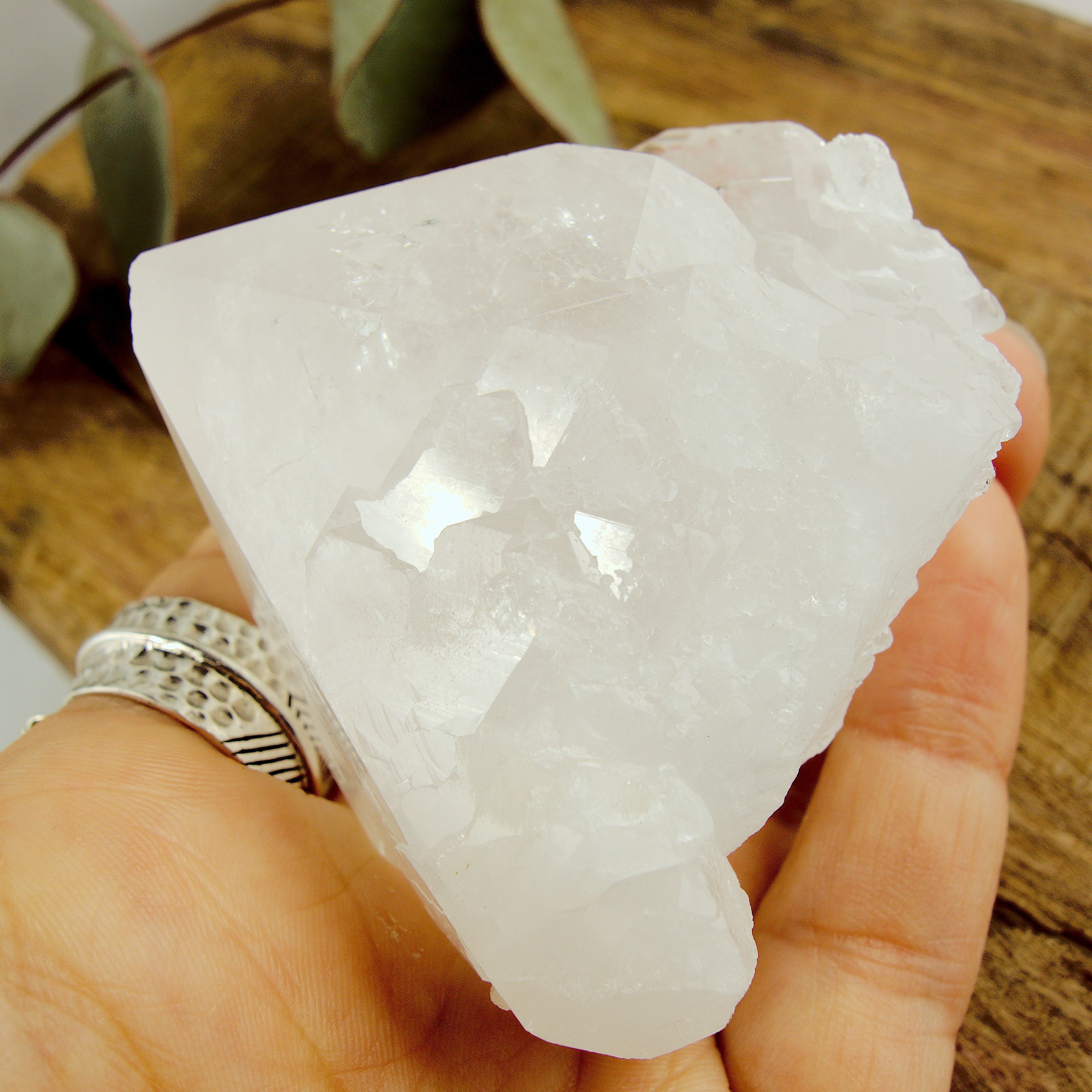 Incredible Self Healed Elestial Clear Quartz Point With Record Keepers From Brazil