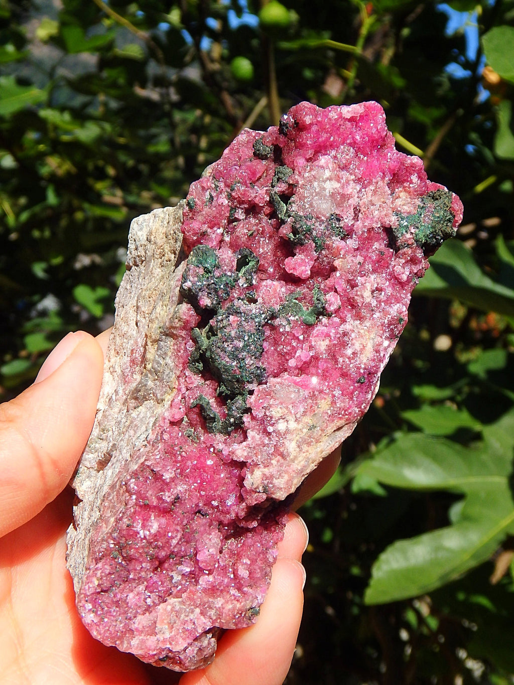 Extreme Sparkle Natural Fuchsia Pink Cobaltine Calcite Specimen - Earth Family Crystals