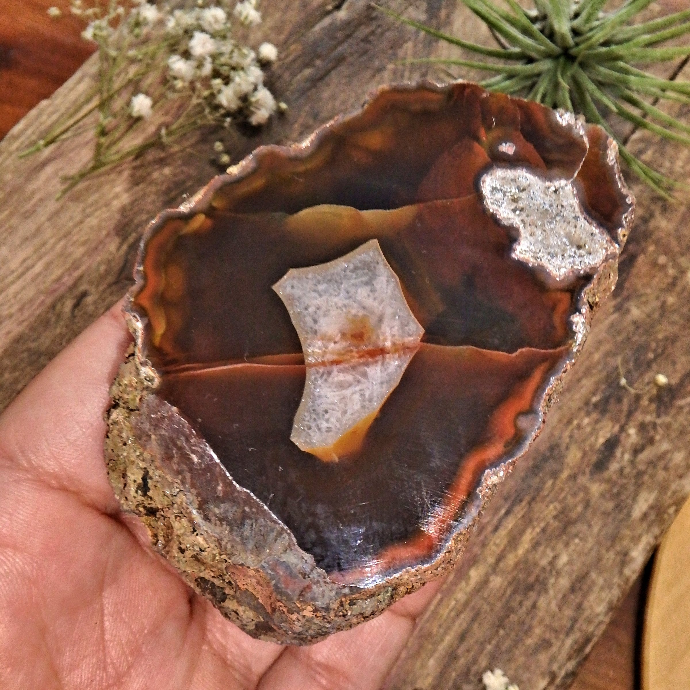 Patagonia Condor Agate Partially Polished Display Specimen 1 - Earth Family Crystals