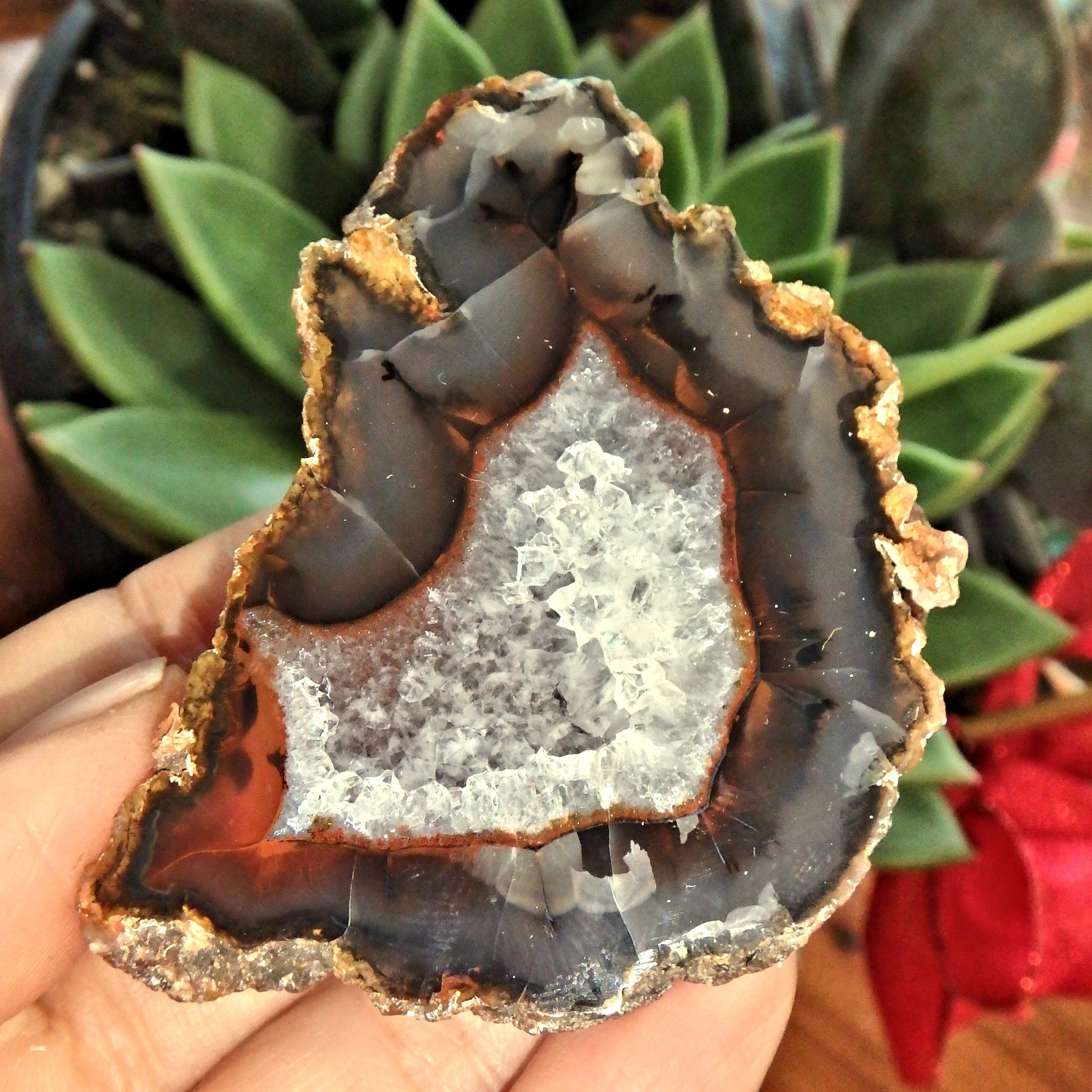 Scenic Condor Agate Partially Polished Specimen