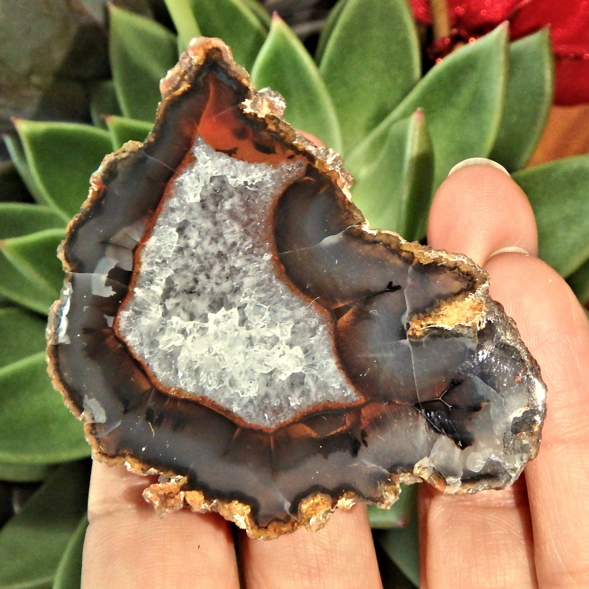 Scenic Condor Agate Partially Polished Specimen