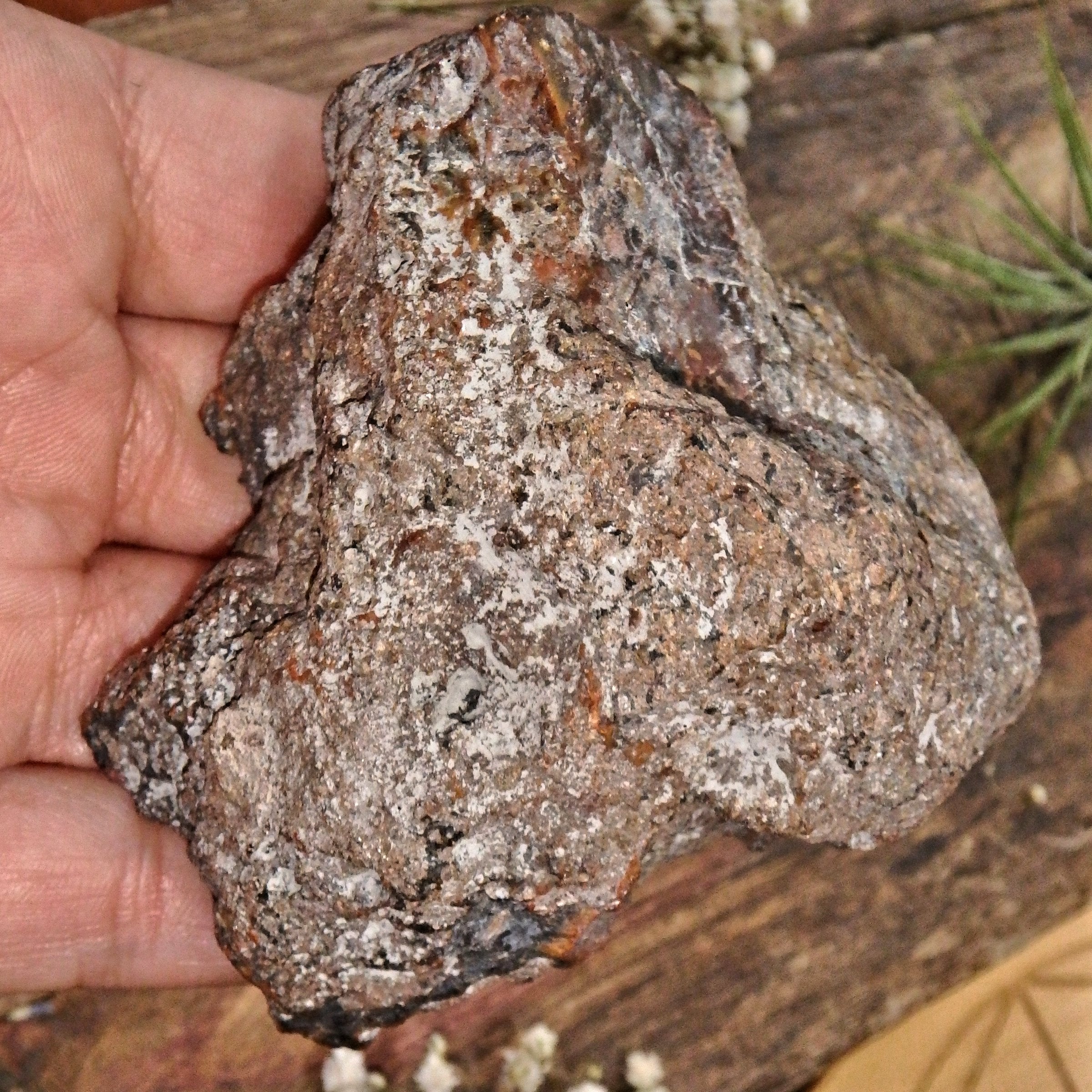 Patagonia Condor Agate Partially Polished Display Specimen 2 - Earth Family Crystals
