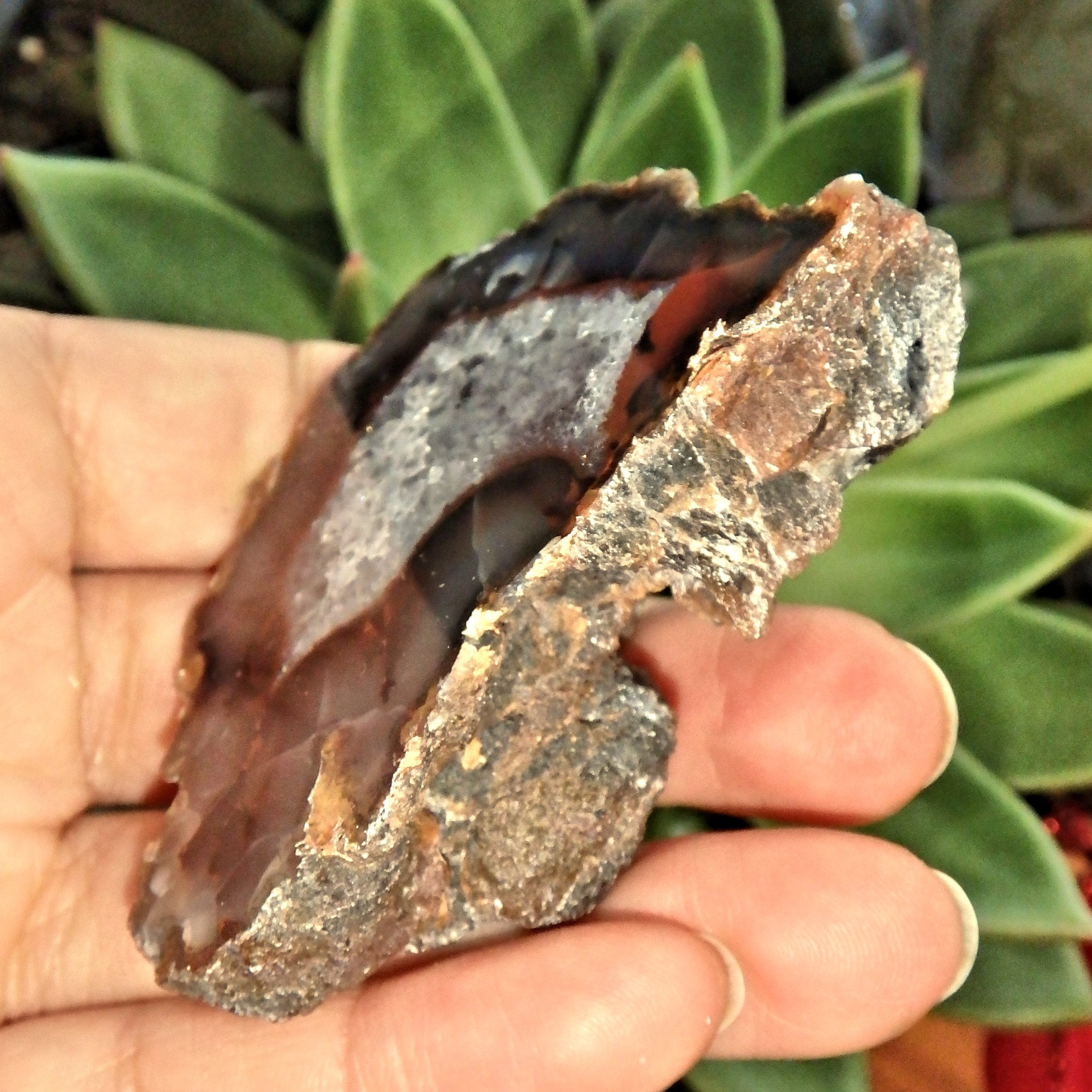 Scenic Condor Agate Partially Polished Specimen