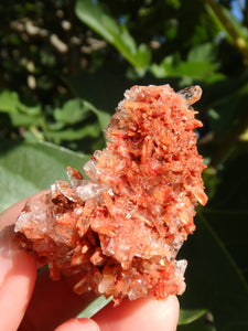 Shimmering Druzy Natural Creedite Cluster from Mexico