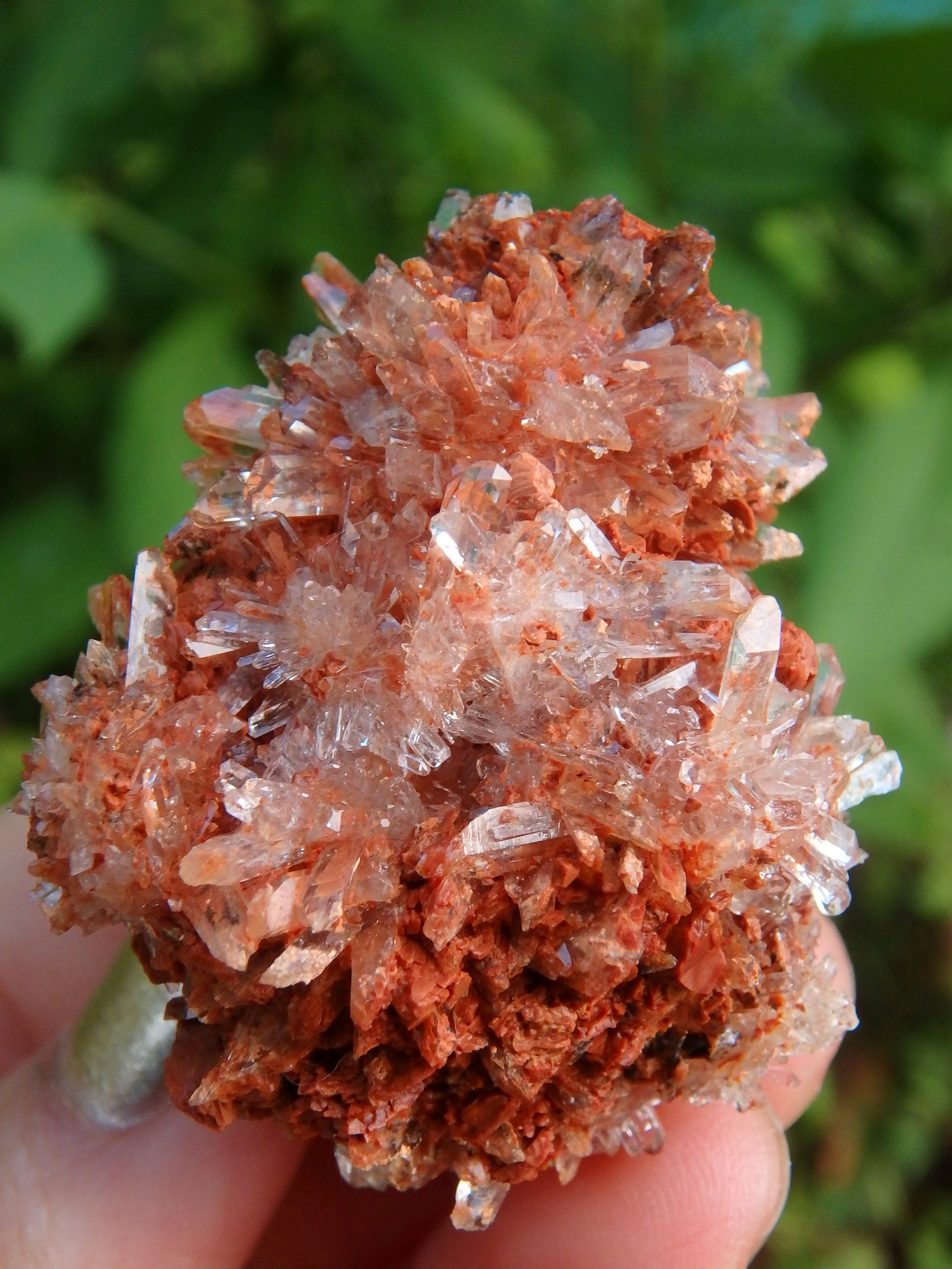 Hedgehog Druzy Spike Cluster Orange Creedite From Mexico - Earth Family Crystals