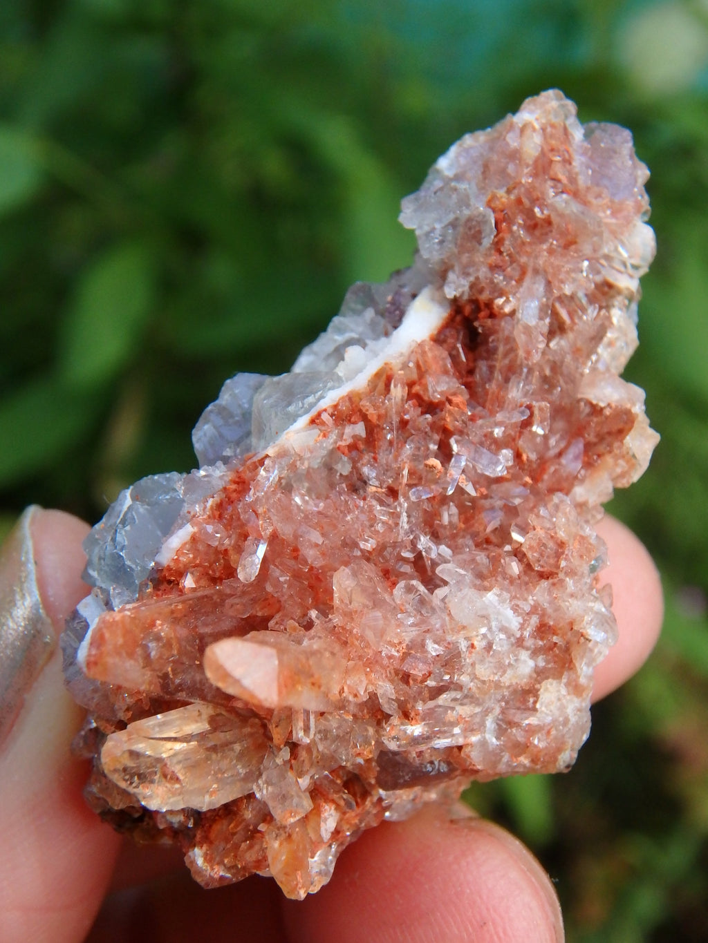 Orange Druzy Creedite & Fluorite Inclusions From Mexico - Earth Family Crystals