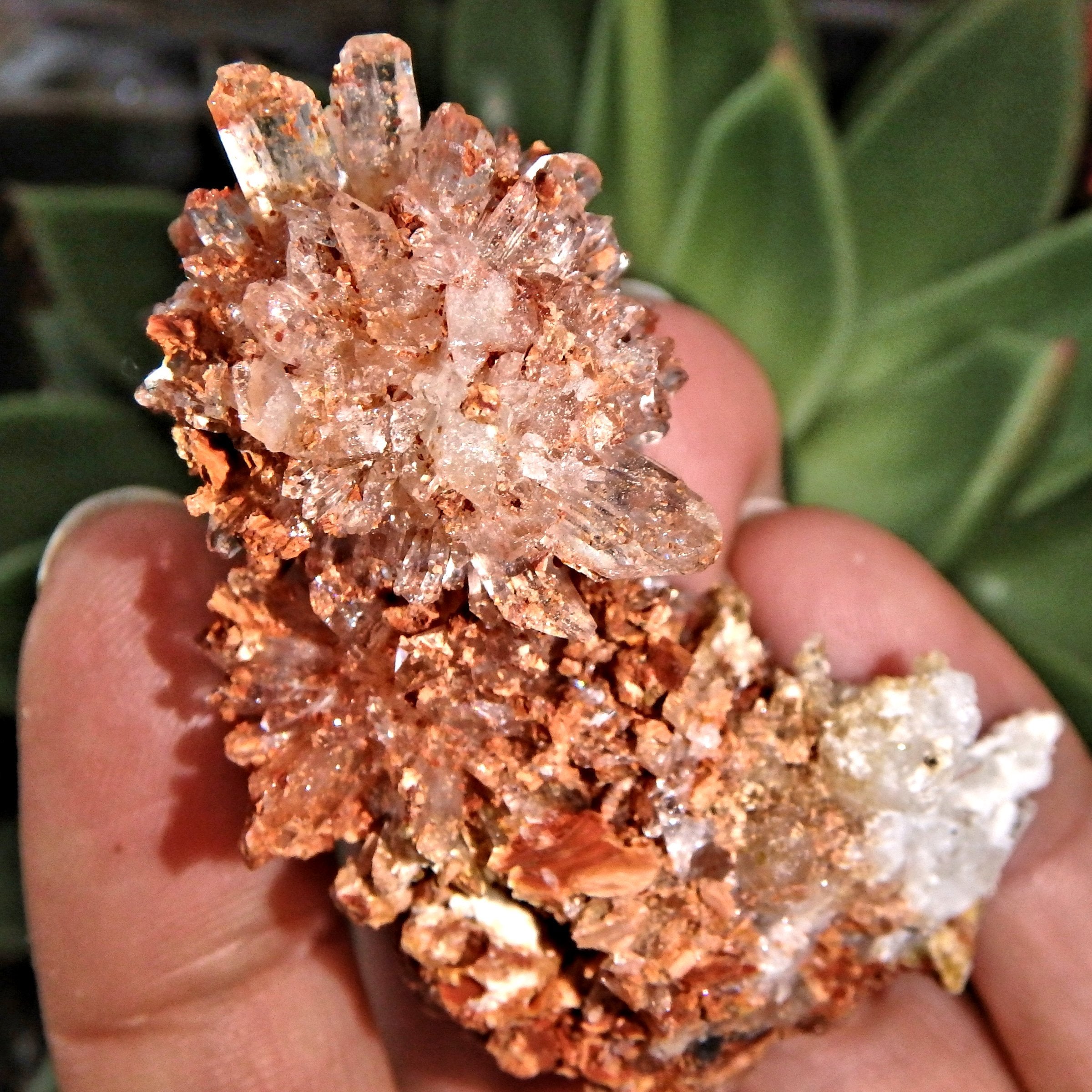 Sparkling Raw Orange Spiky Creedite & Fluorite Crusted Specimen From Mexico