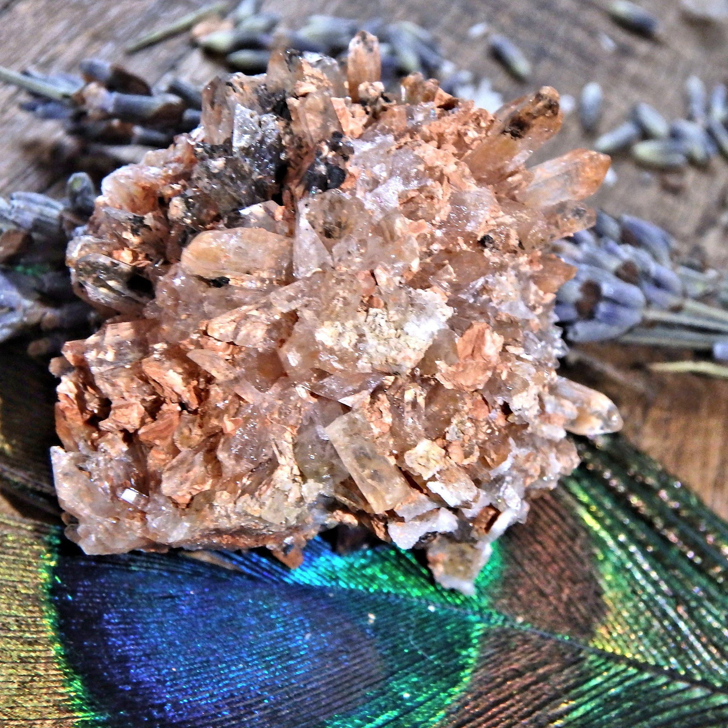 Adorable Orange & Black Hedgehog Creedite Cluster From Mexico - Earth Family Crystals