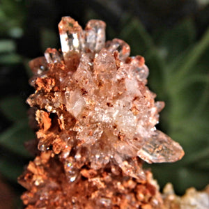 Sparkling Raw Orange Spiky Creedite & Fluorite Crusted Specimen From Mexico