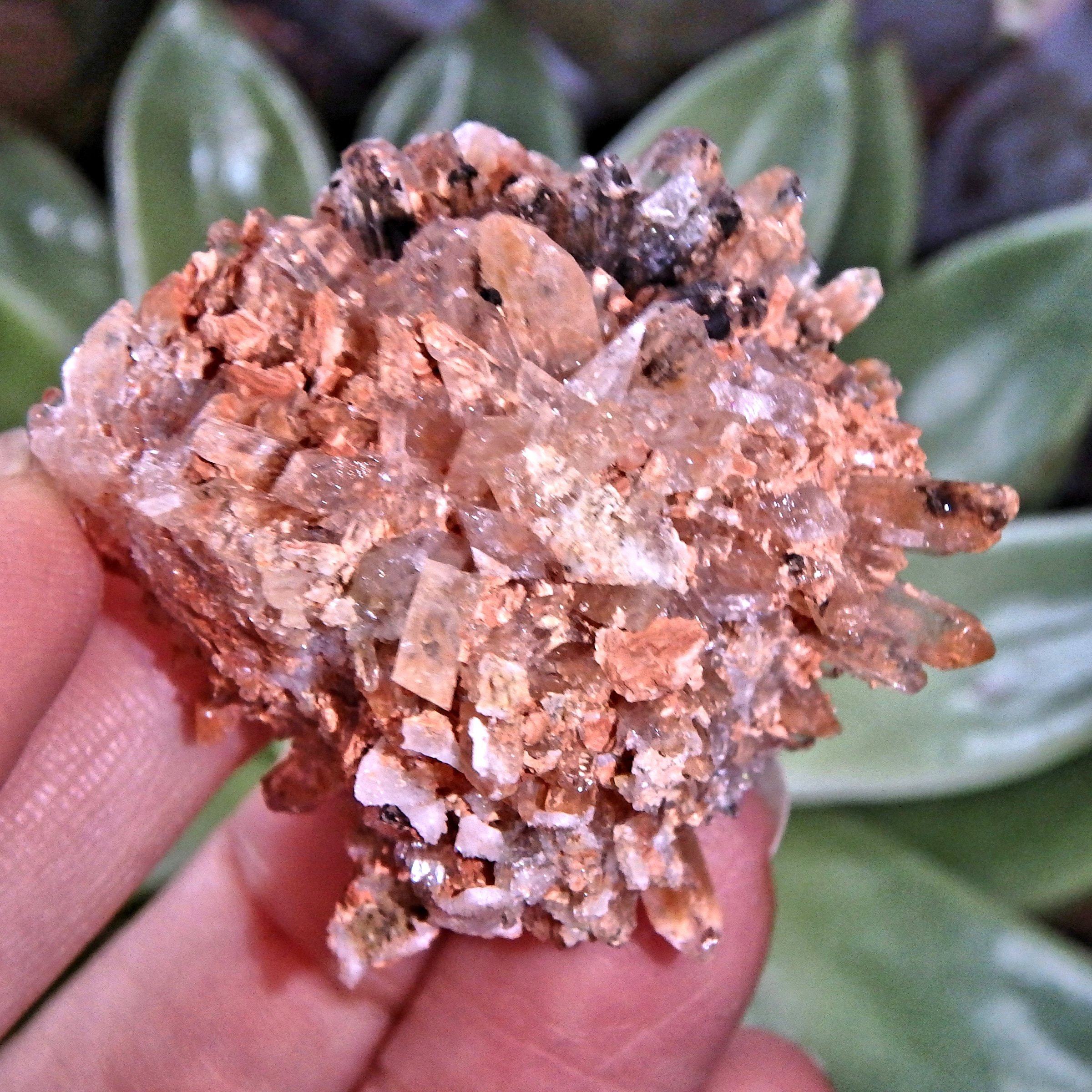 Adorable Orange & Black Hedgehog Creedite Cluster From Mexico - Earth Family Crystals