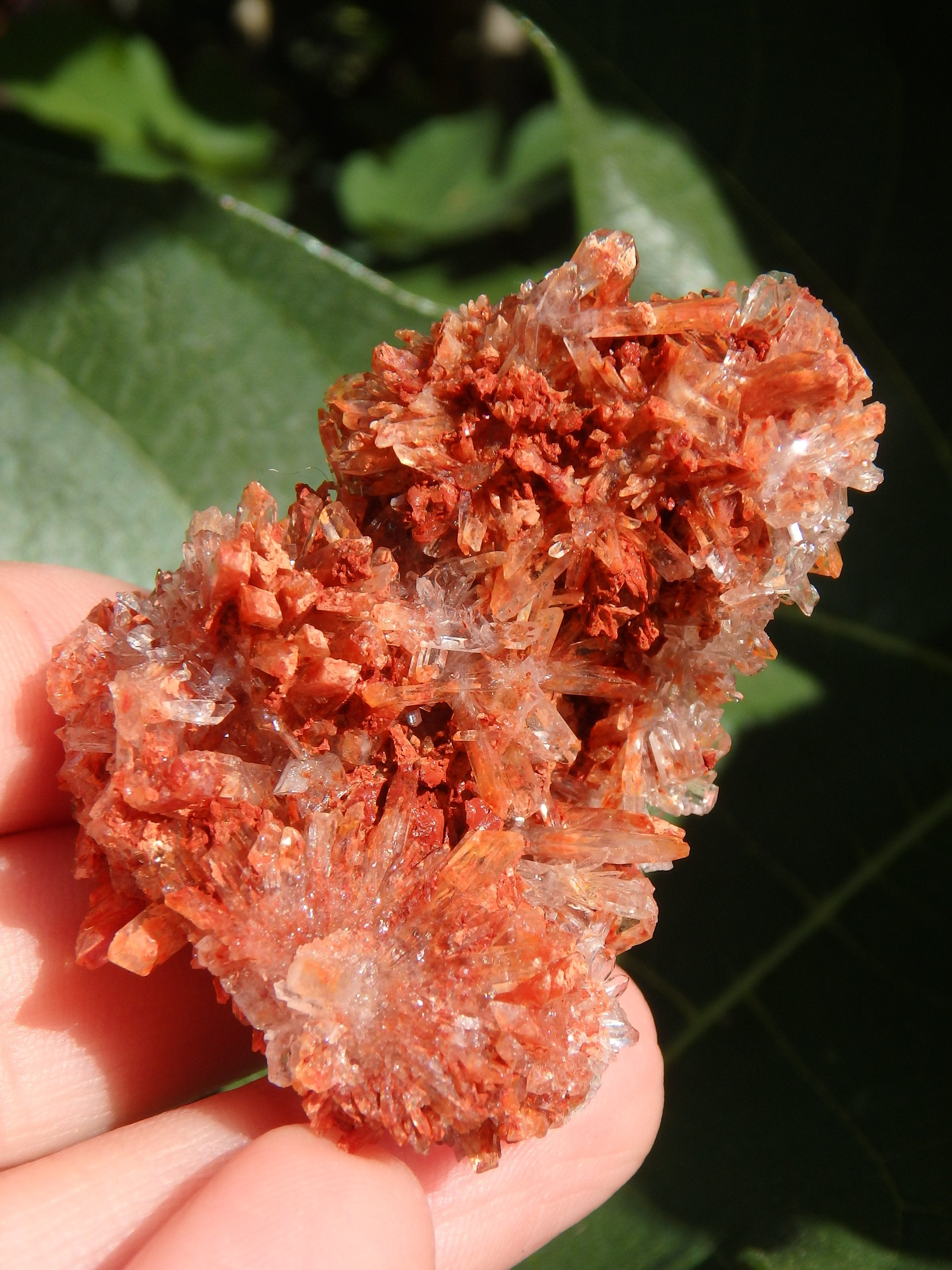 Shimmering Druzy Natural Creedite Cluster from Mexico