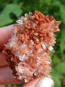 Hedgehog Druzy Spike Cluster Orange Creedite From Mexico - Earth Family Crystals