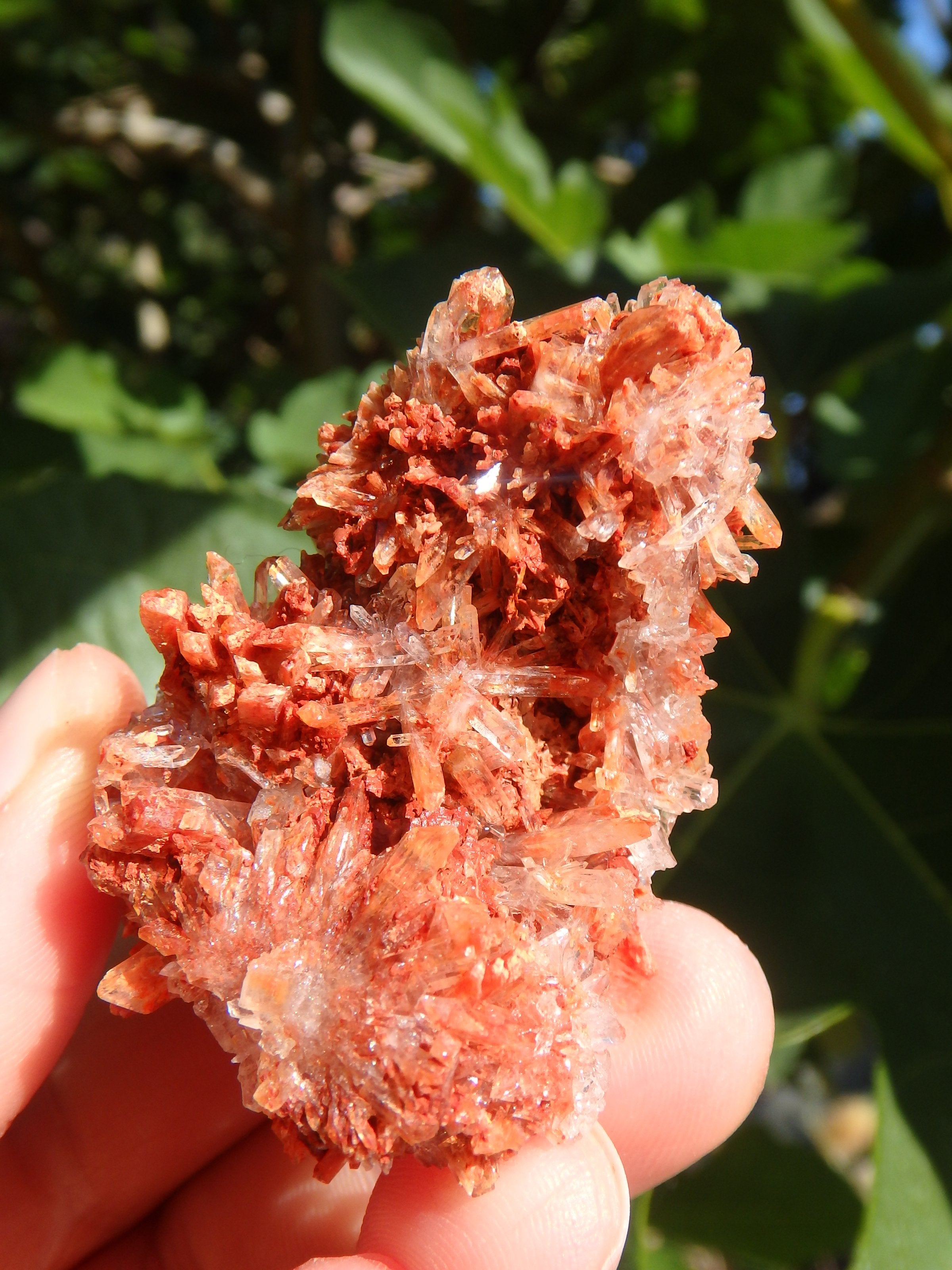 Shimmering Druzy Natural Creedite Cluster from Mexico