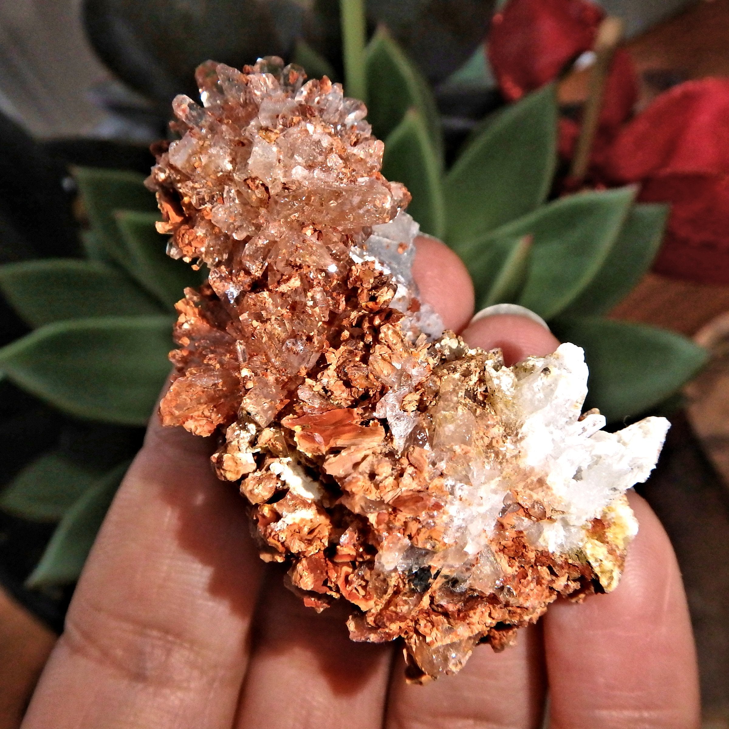 Sparkling Raw Orange Spiky Creedite & Fluorite Crusted Specimen From Mexico