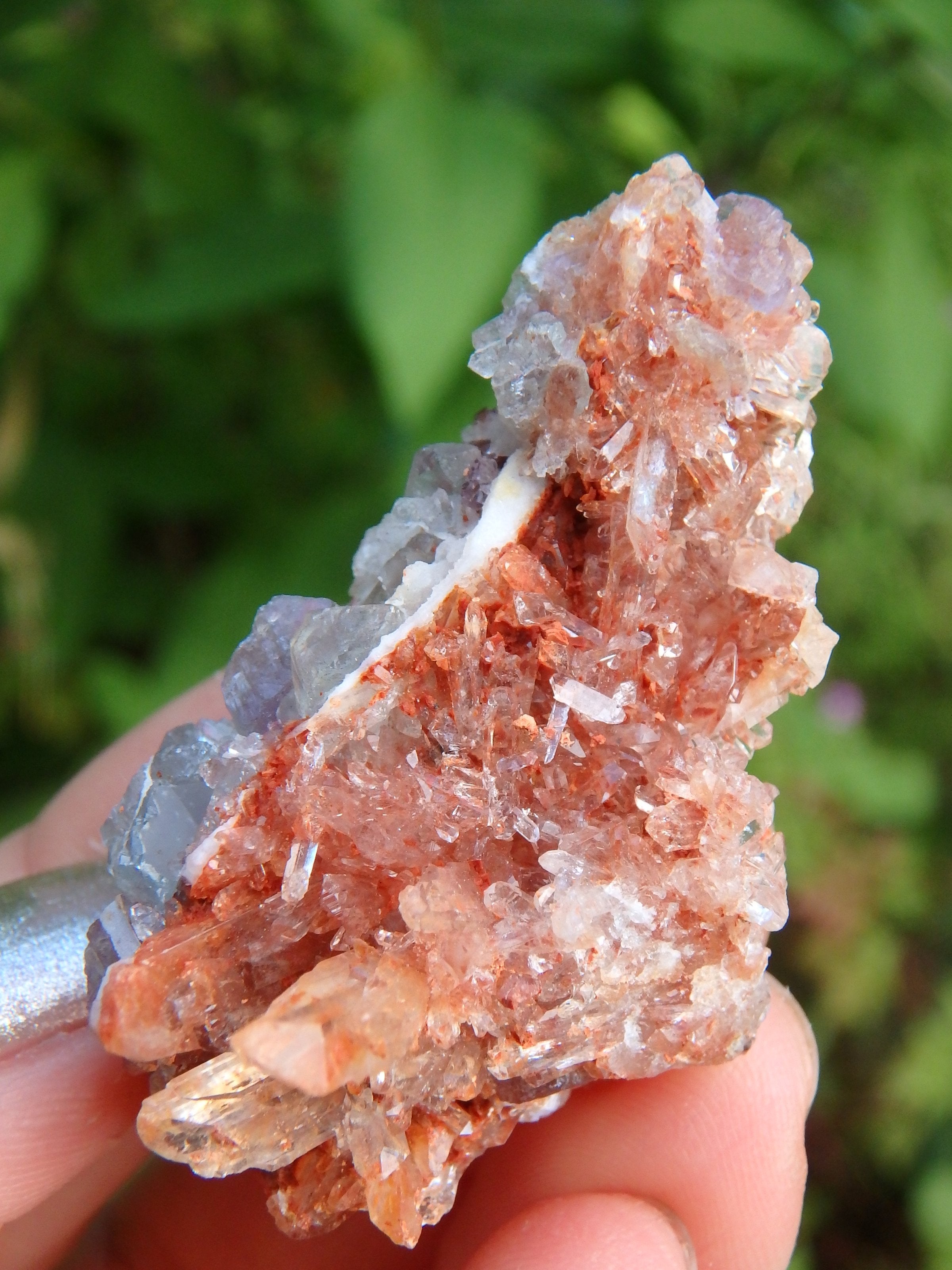 Orange Druzy Creedite & Fluorite Inclusions From Mexico - Earth Family Crystals