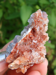 Orange Druzy Creedite & Fluorite Inclusions From Mexico - Earth Family Crystals