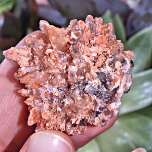 Adorable Orange & Black Hedgehog Creedite Cluster From Mexico - Earth Family Crystals