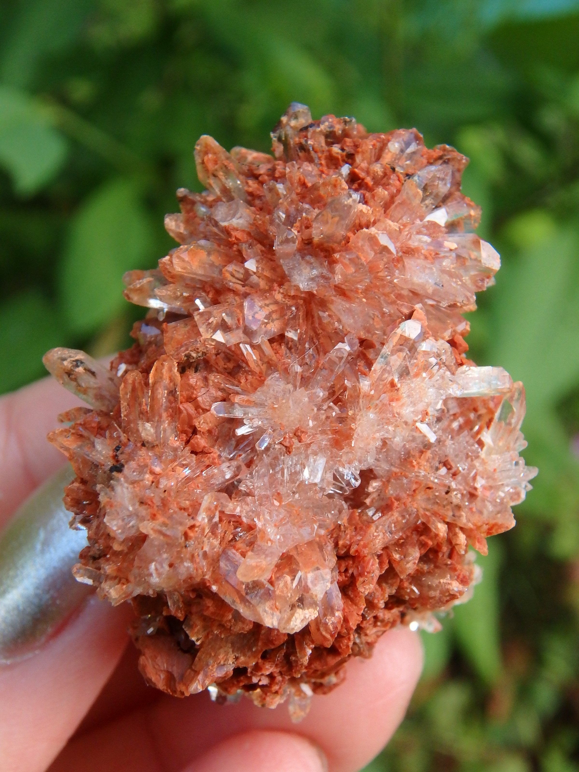 Hedgehog Druzy Spike Cluster Orange Creedite From Mexico - Earth Family Crystals