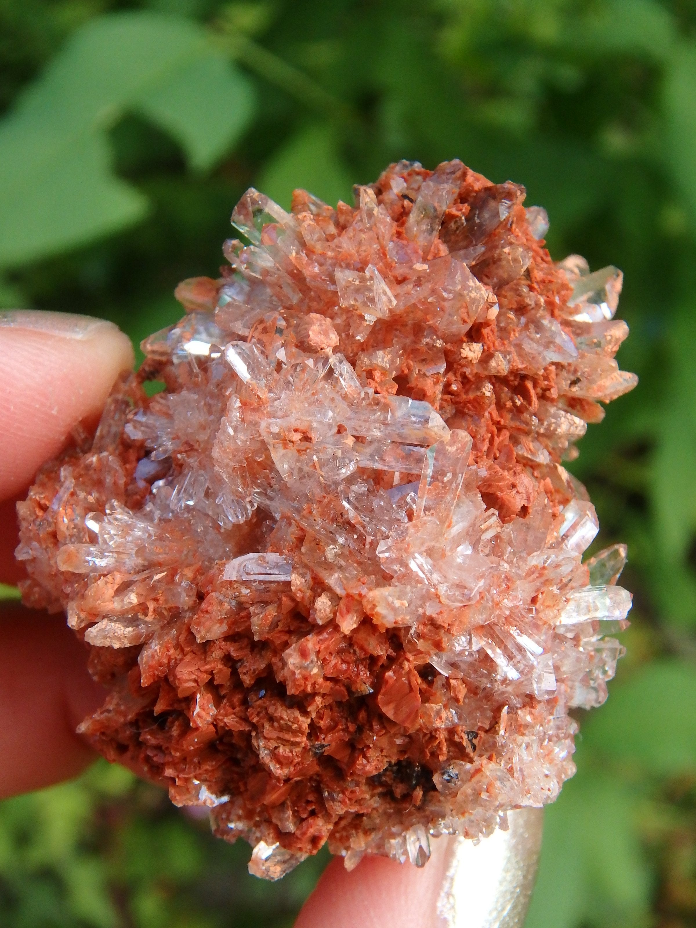 Hedgehog Druzy Spike Cluster Orange Creedite From Mexico - Earth Family Crystals
