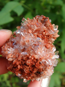 Hedgehog Druzy Spike Cluster Orange Creedite From Mexico - Earth Family Crystals