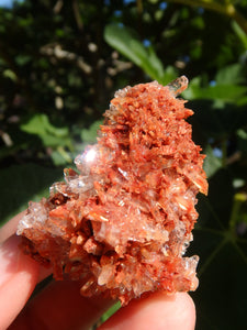 Shimmering Druzy Natural Creedite Cluster from Mexico