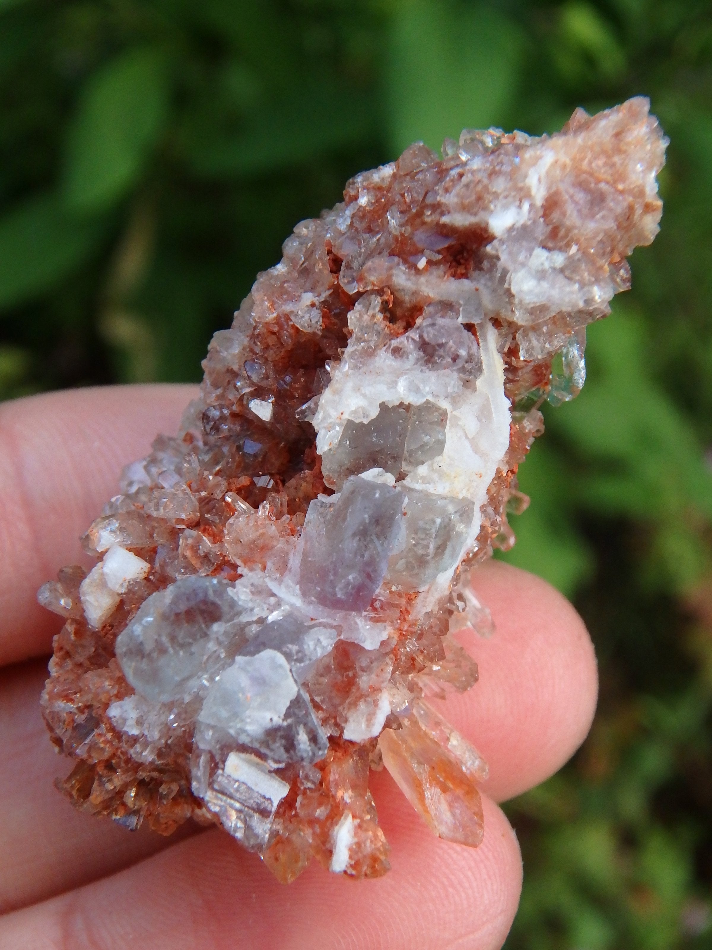 Orange Druzy Creedite & Fluorite Inclusions From Mexico - Earth Family Crystals