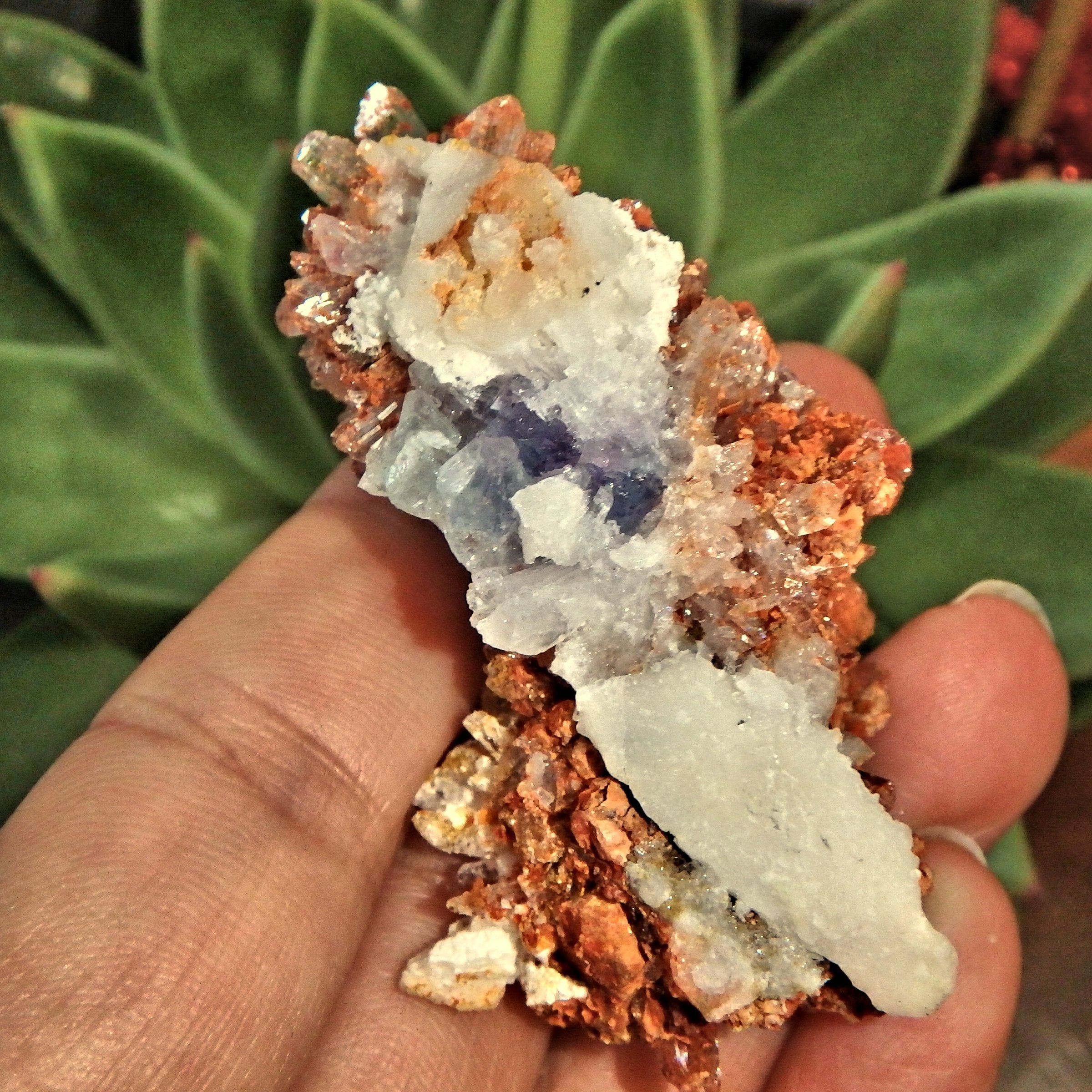 Sparkling Raw Orange Spiky Creedite & Fluorite Crusted Specimen From Mexico