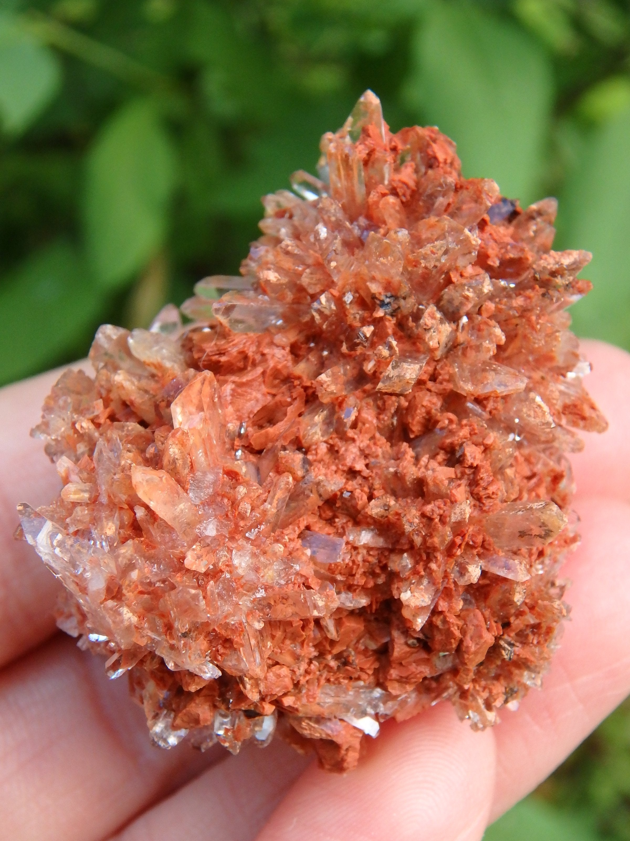 Hedgehog Druzy Spike Cluster Orange Creedite From Mexico - Earth Family Crystals