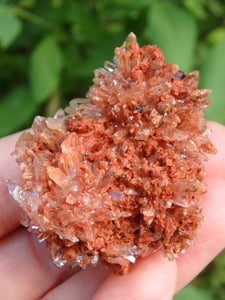 Hedgehog Druzy Spike Cluster Orange Creedite From Mexico - Earth Family Crystals