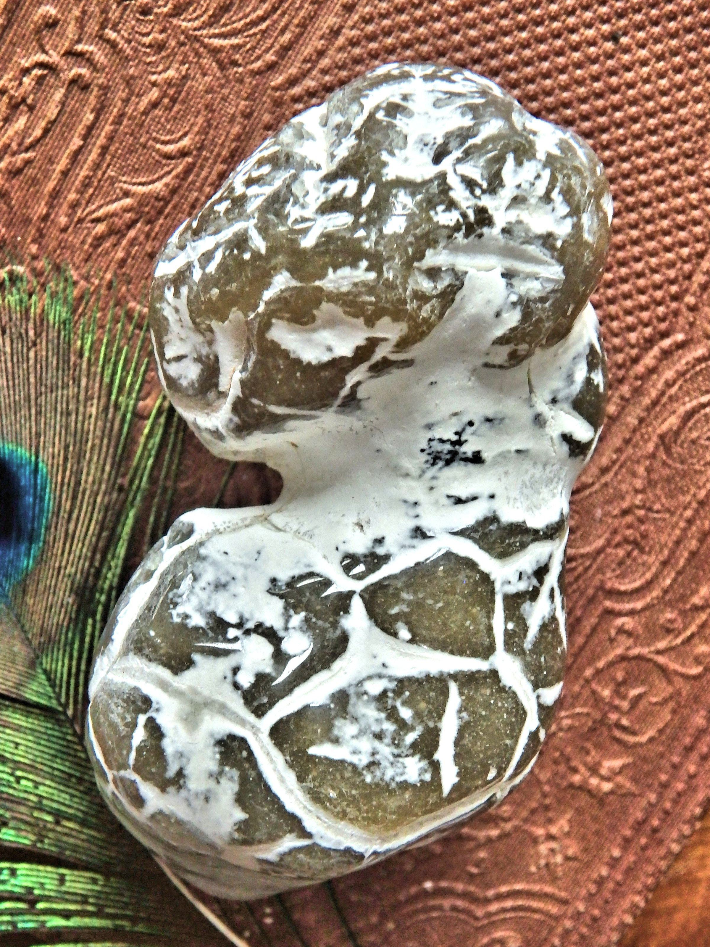 Double Agate Nodule Free Form  Alligator  Agate Specimen - Earth Family Crystals