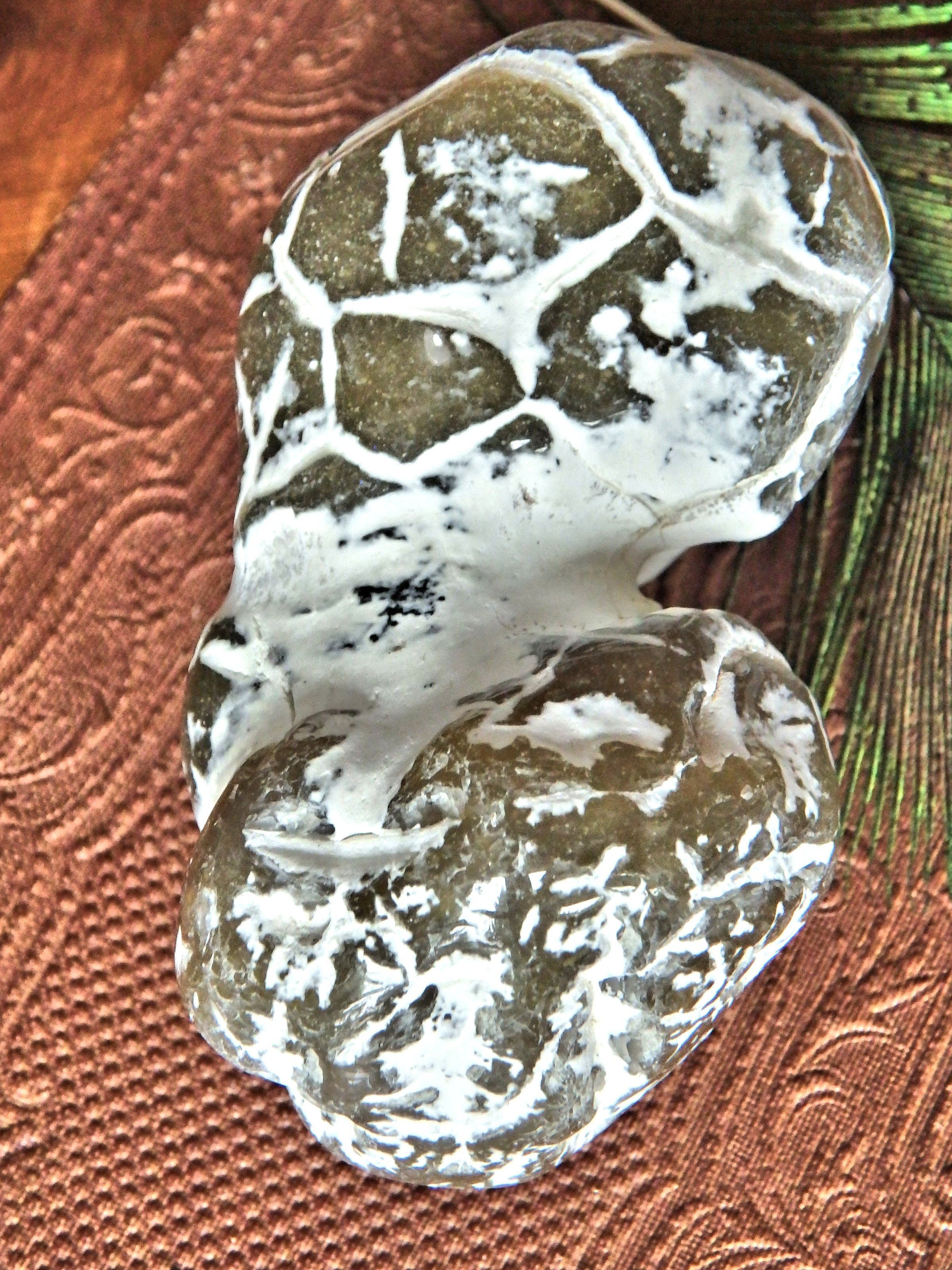 Double Agate Nodule Free Form  Alligator  Agate Specimen - Earth Family Crystals