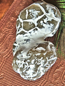 Double Agate Nodule Free Form  Alligator  Agate Specimen - Earth Family Crystals
