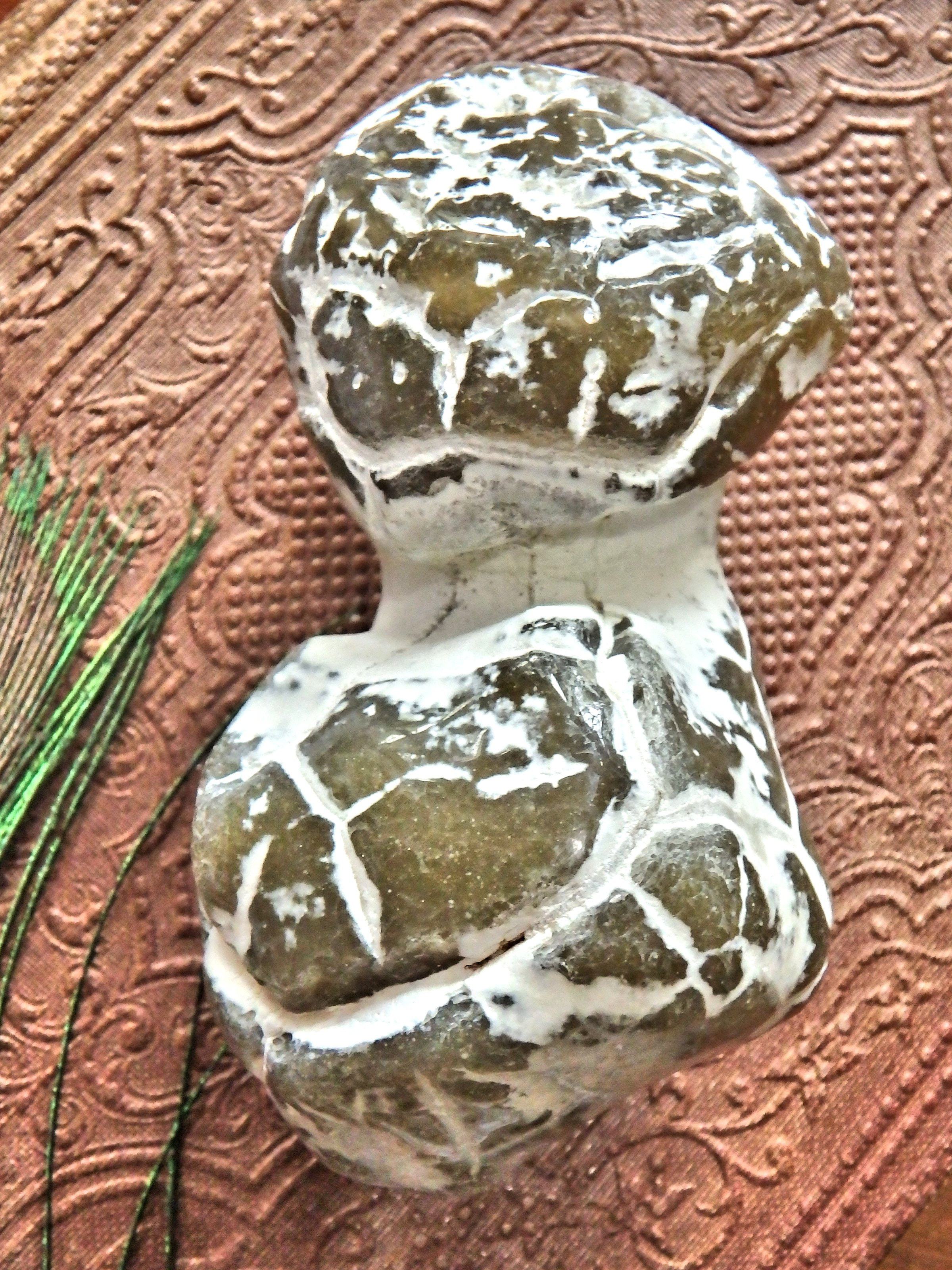 Double Agate Nodule Free Form  Alligator  Agate Specimen - Earth Family Crystals